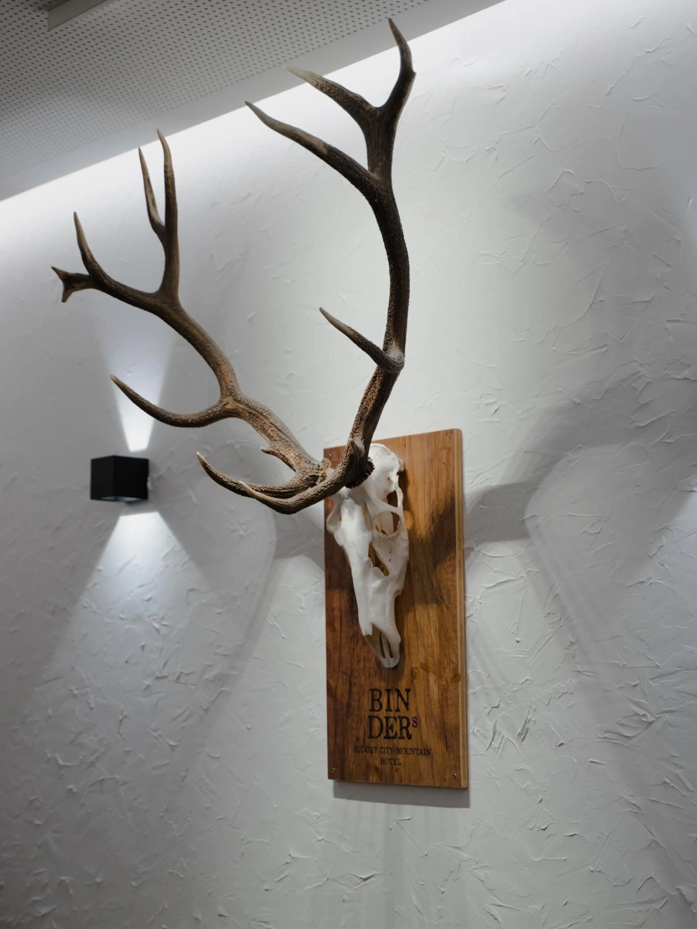 Decorative detail in BinderS Budget City-Mountain Hotel