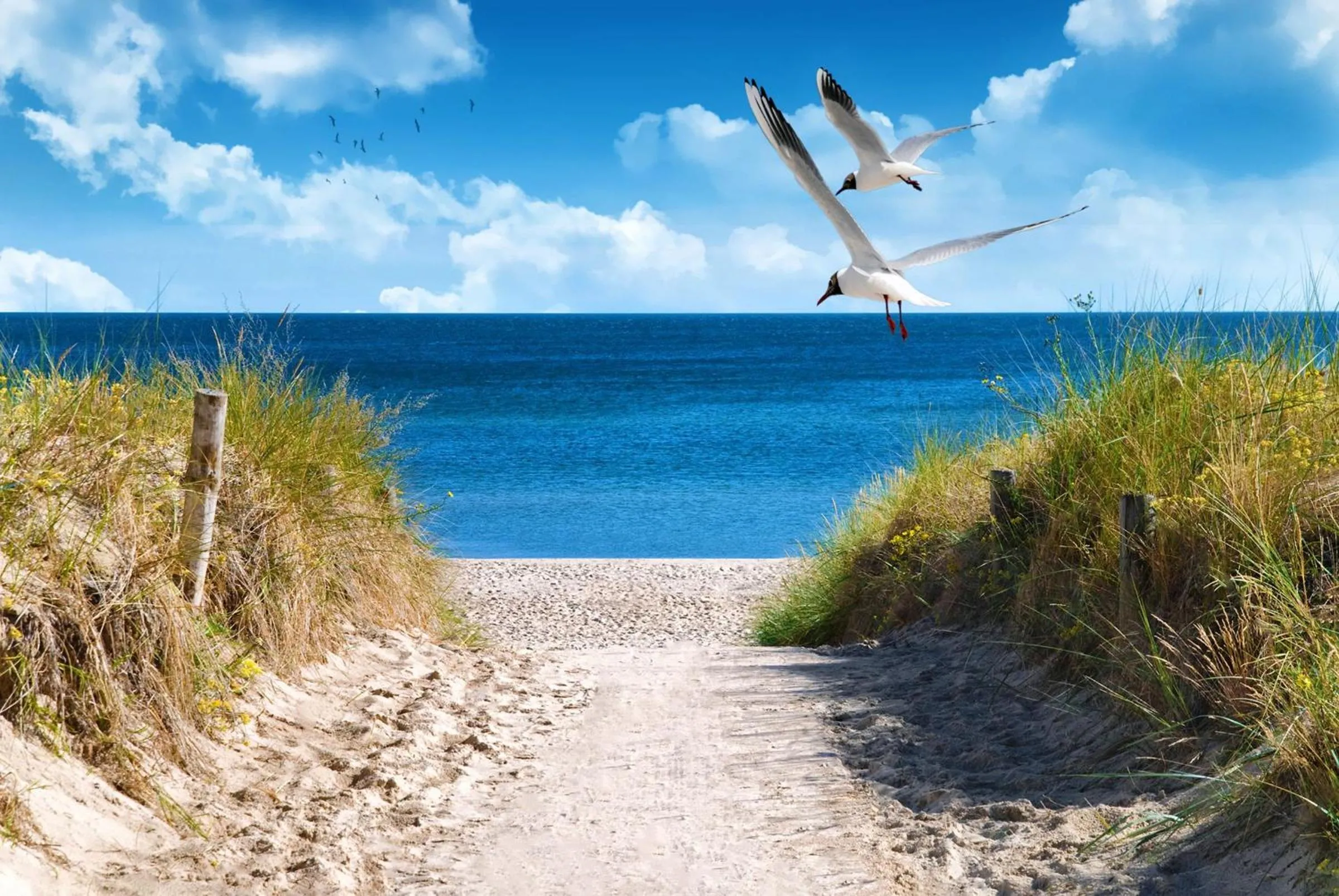 Beach in Resort 2 Ferienhaus Typ D 70