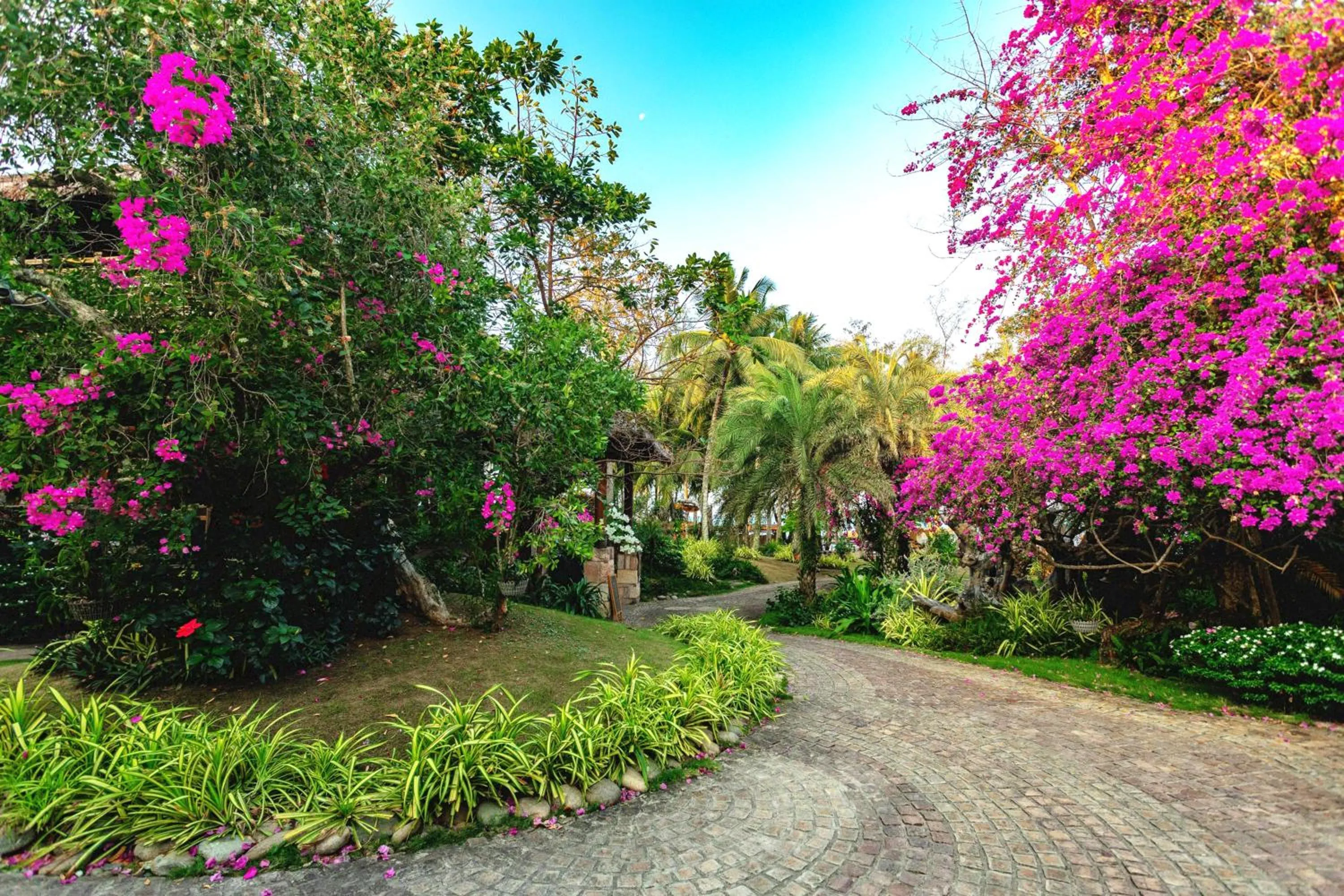 Garden in Ocean Bay Resort & Spa Phu Quoc