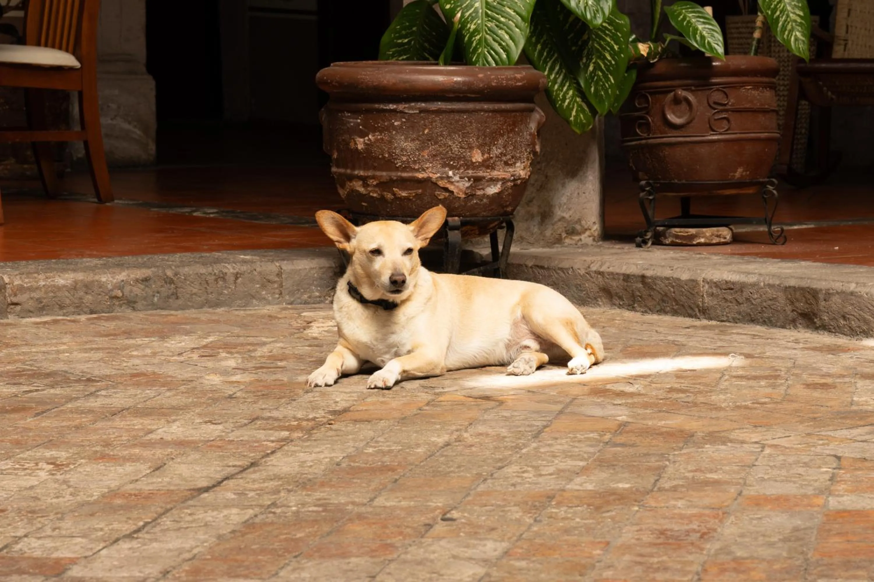 Hotel Posada San Agustin