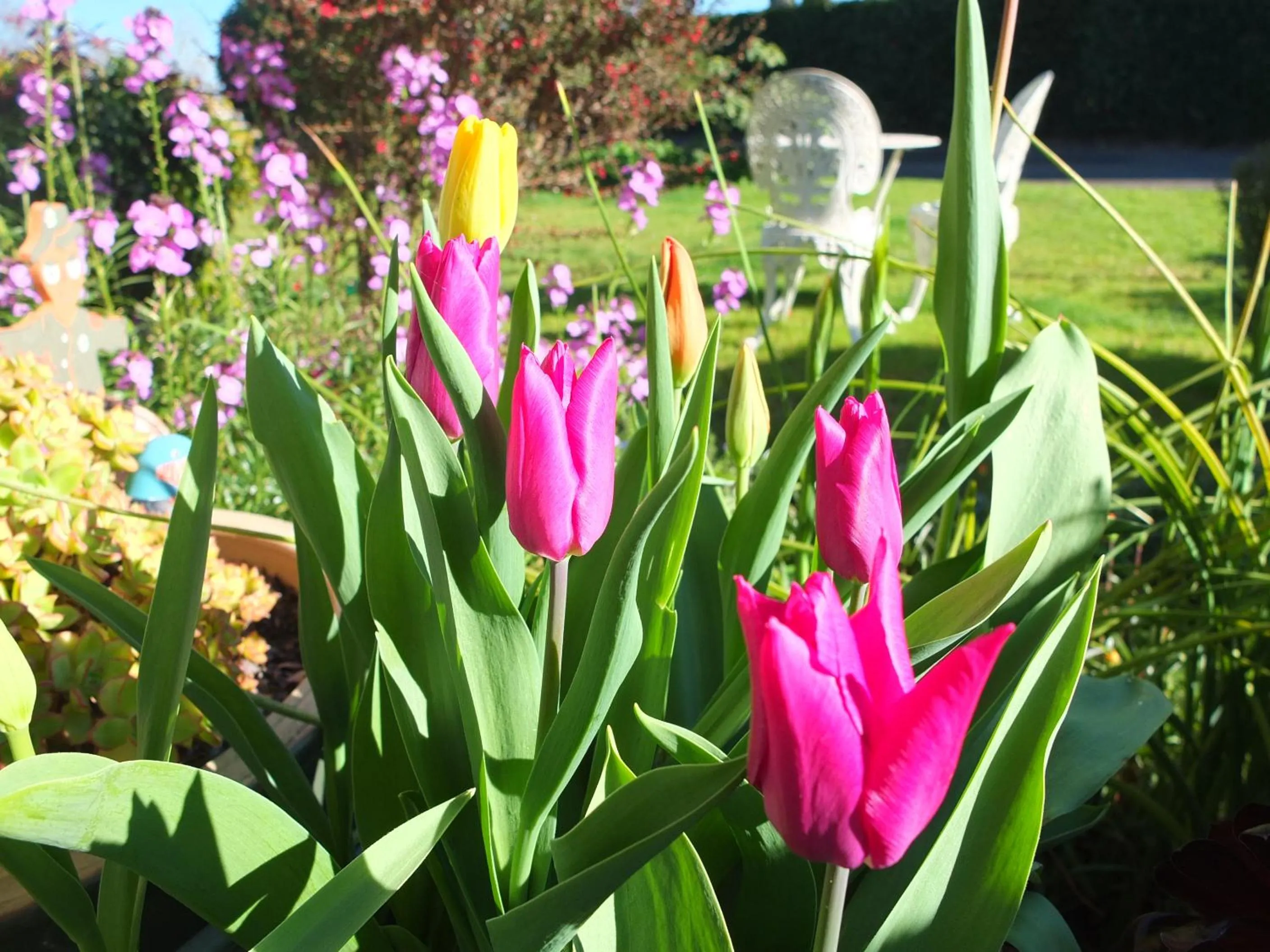 Colonial Court Motel