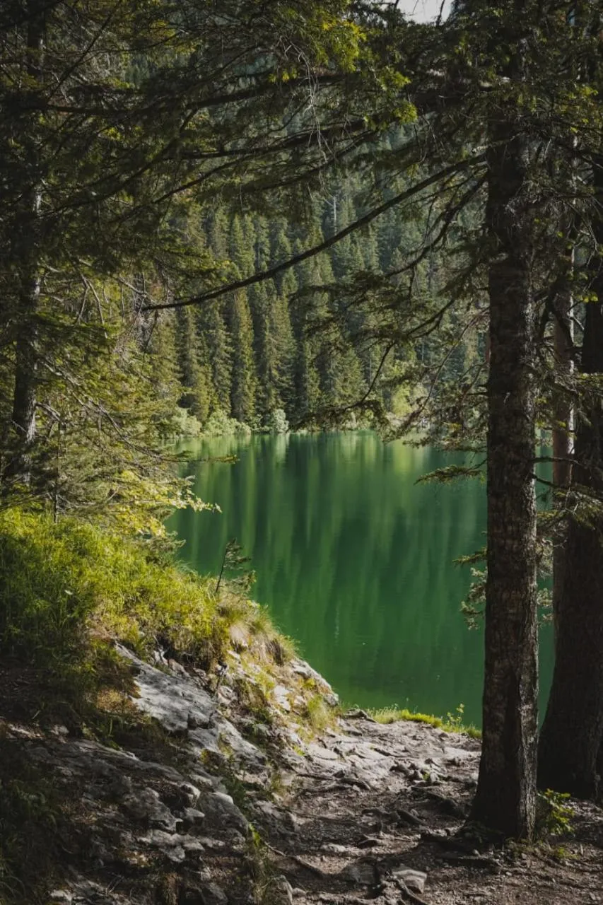 Off site in Casa di Pino EcoLodge Hotel