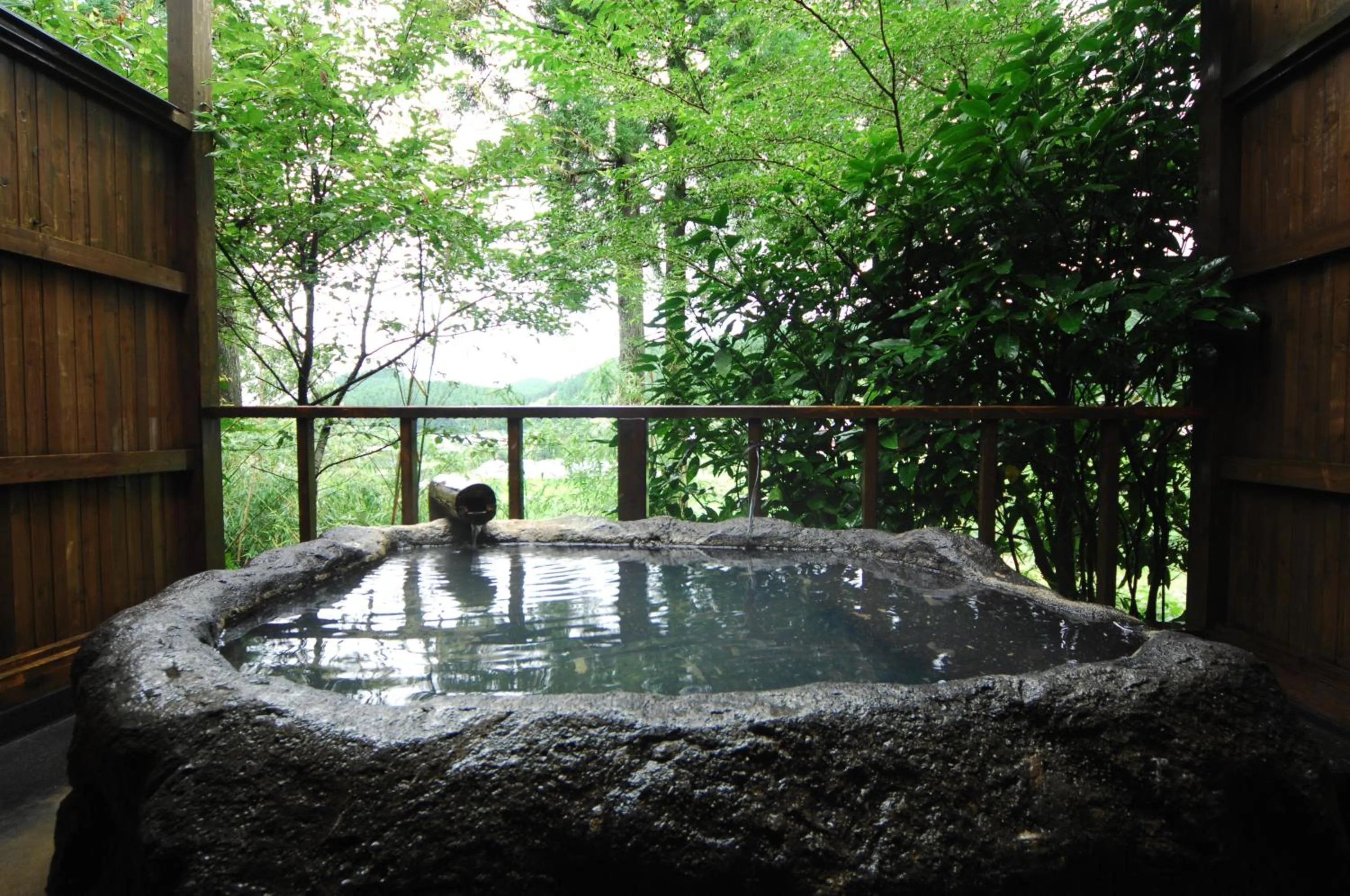 Hot Spring Bath in Ryokan Yunosako