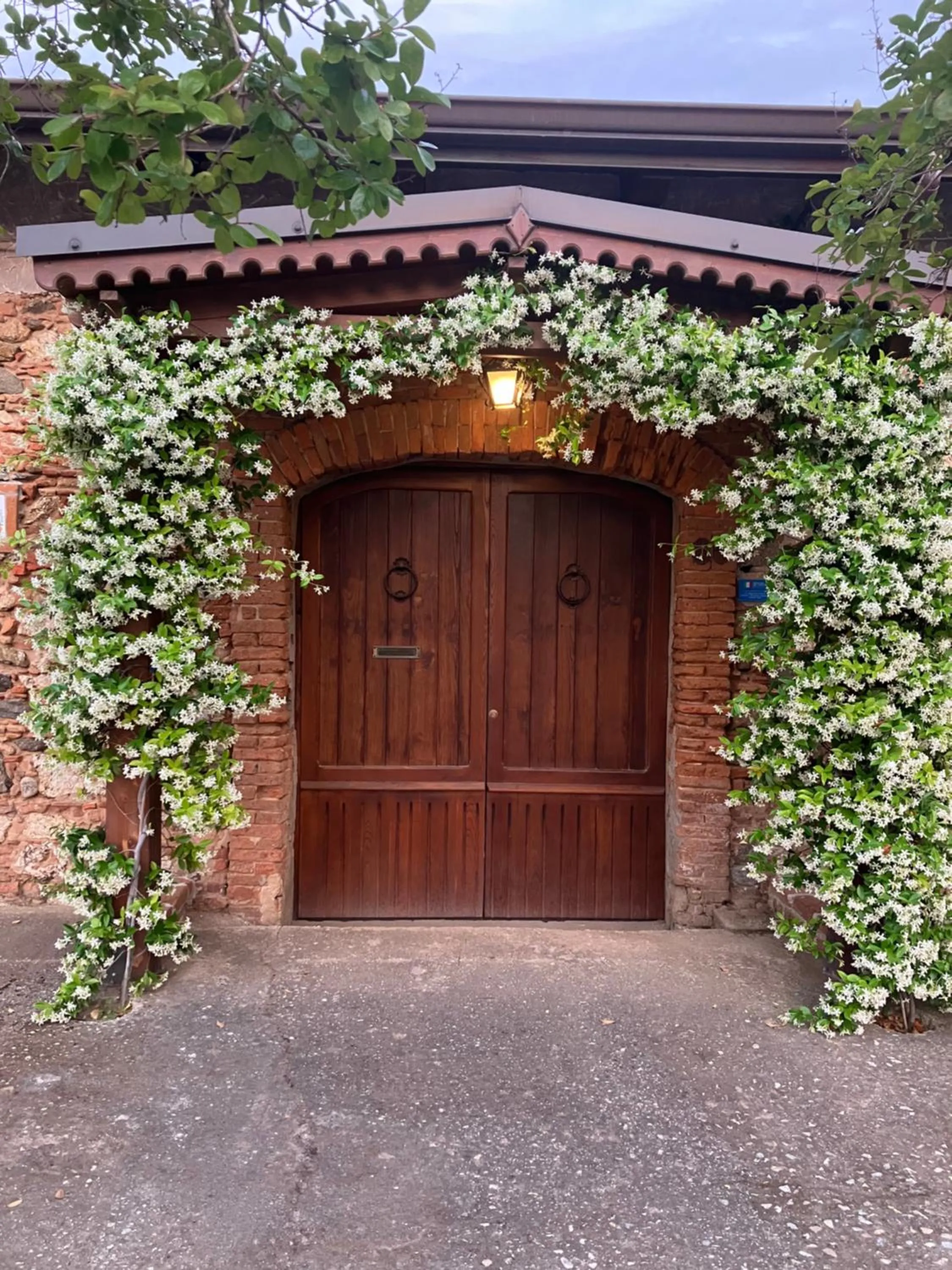 Cantine Cipri Resort