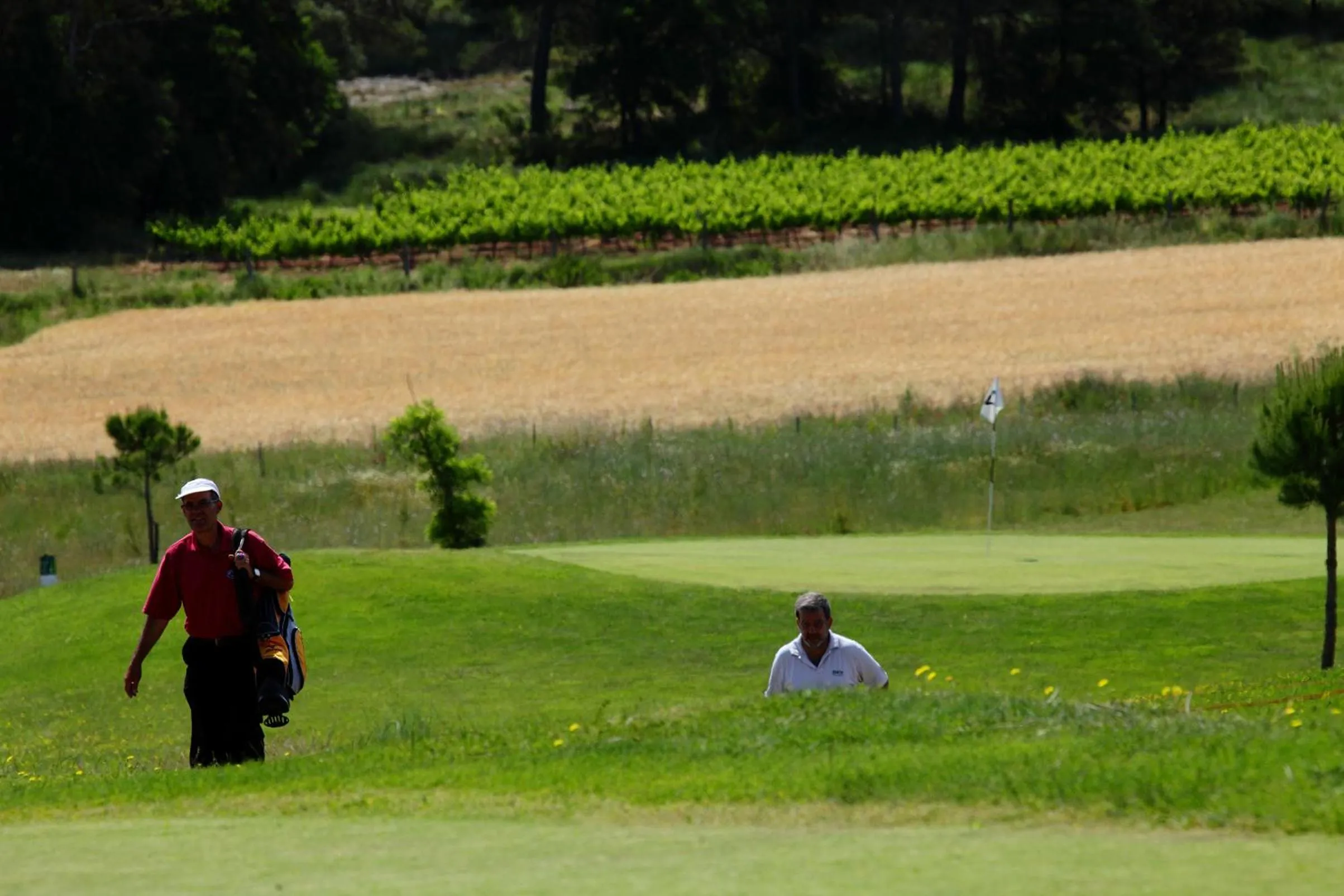 Golfcourse in Les Cabanes de l'Oller del Mas