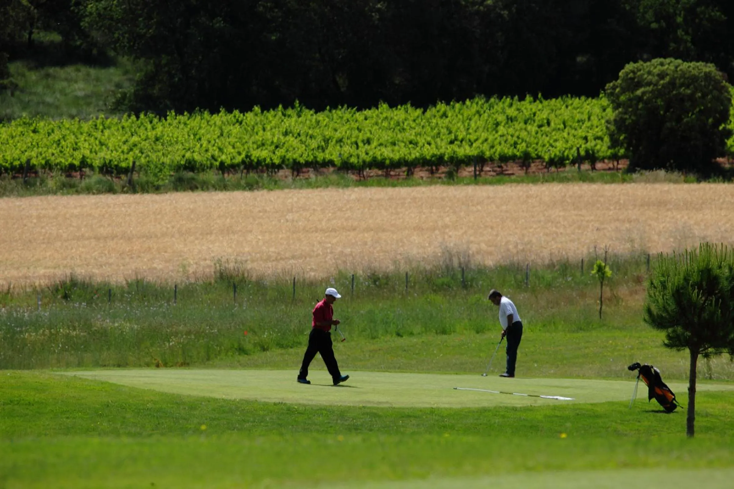 Golfcourse in Les Cabanes de l'Oller del Mas