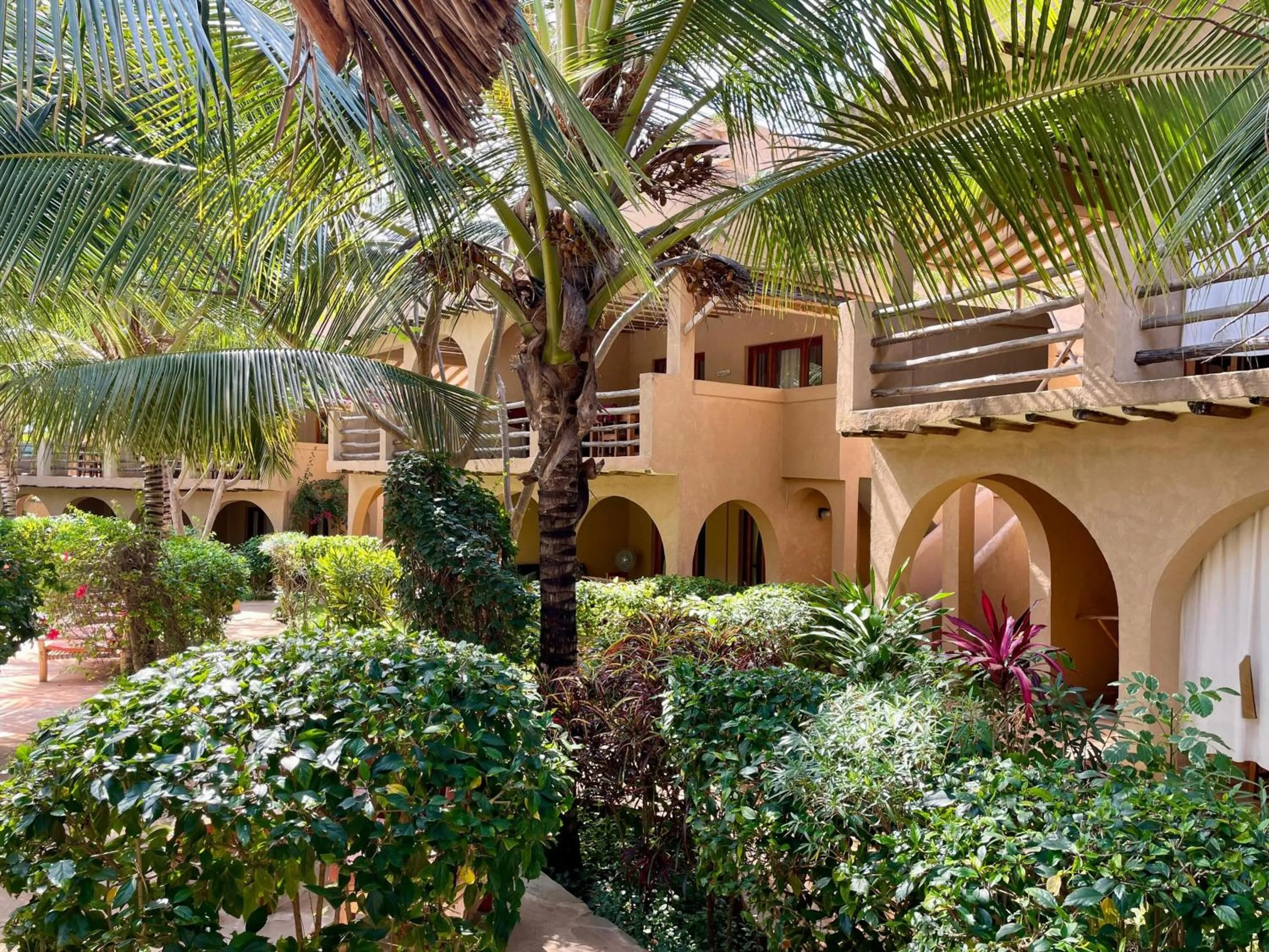 Garden in Lapili Residence