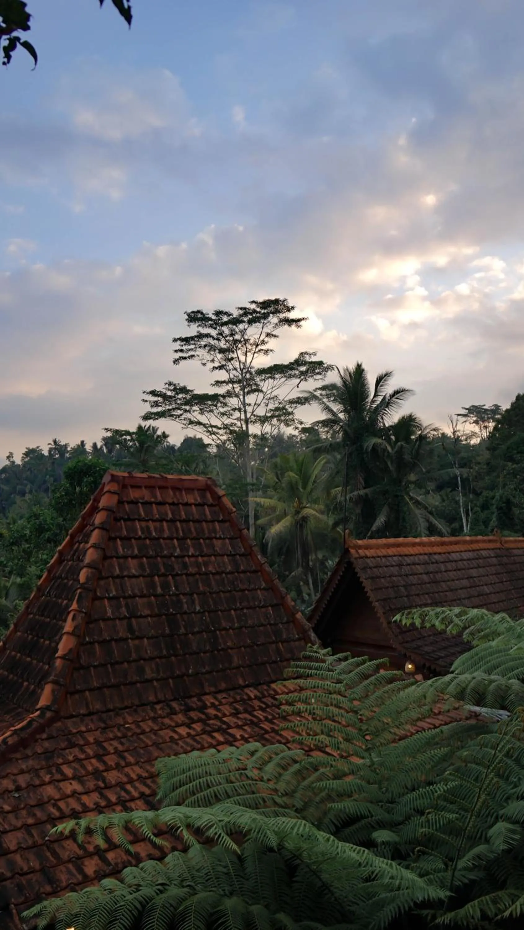 Swimming pool in Sebatu Tulen Villa