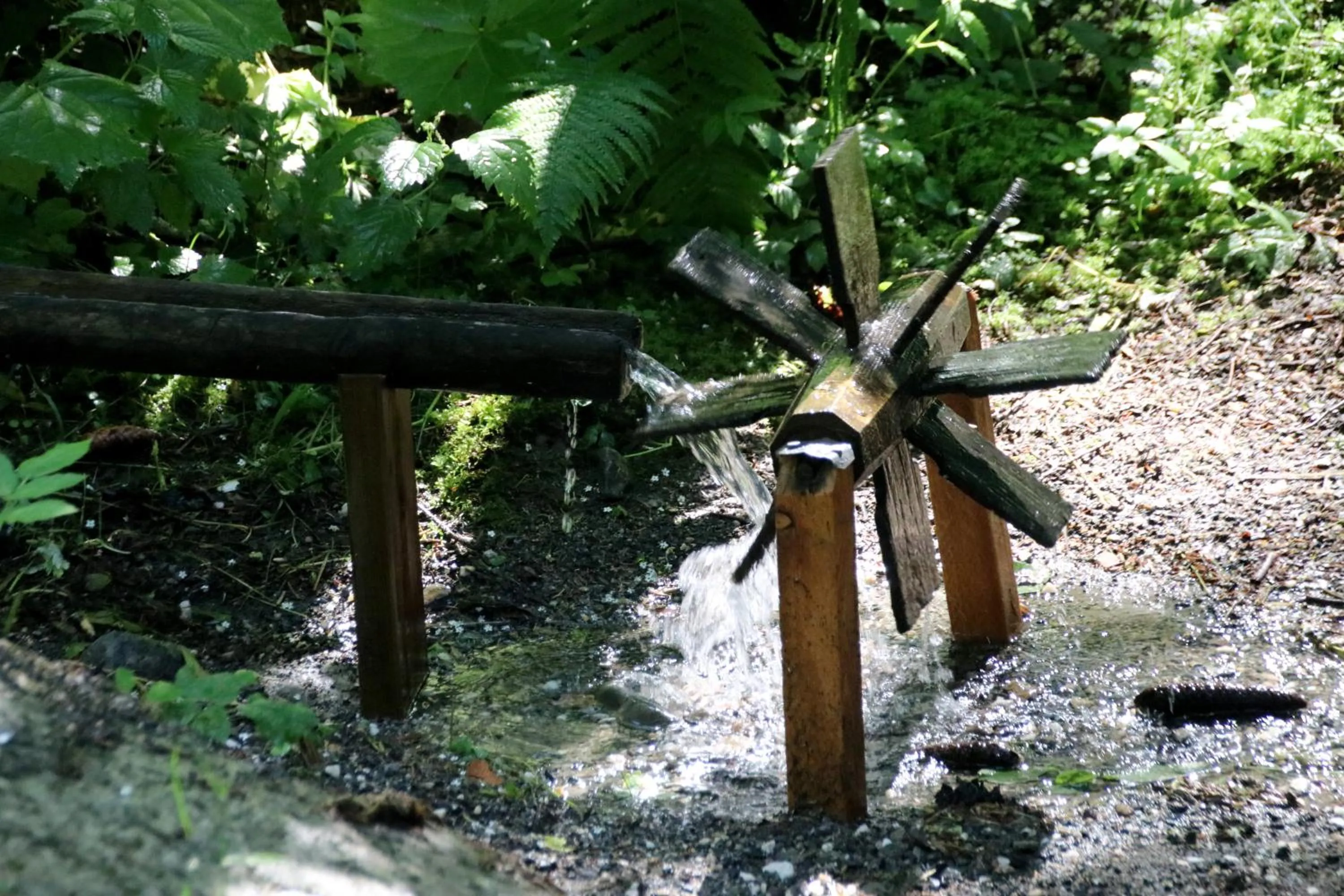 Garden view in Naturhotel Ortners Eschenhof