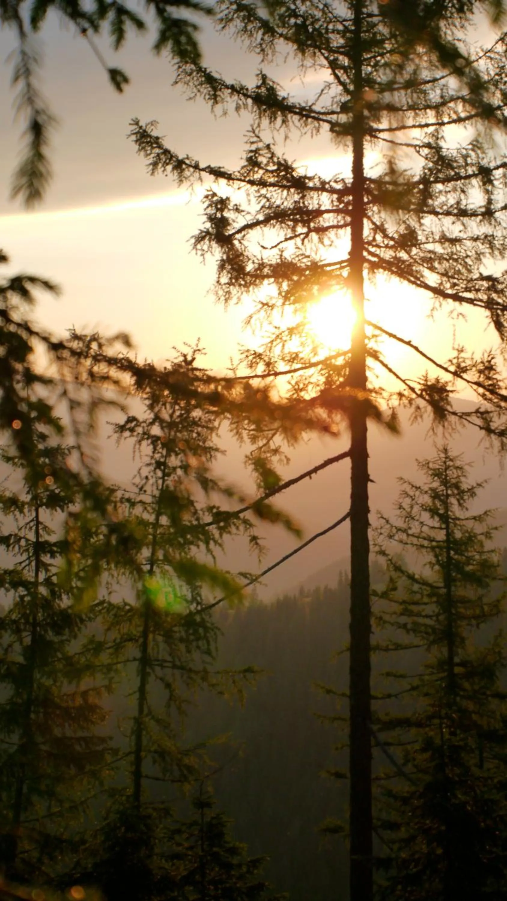 Autumn in Naturhotel Ortners Eschenhof