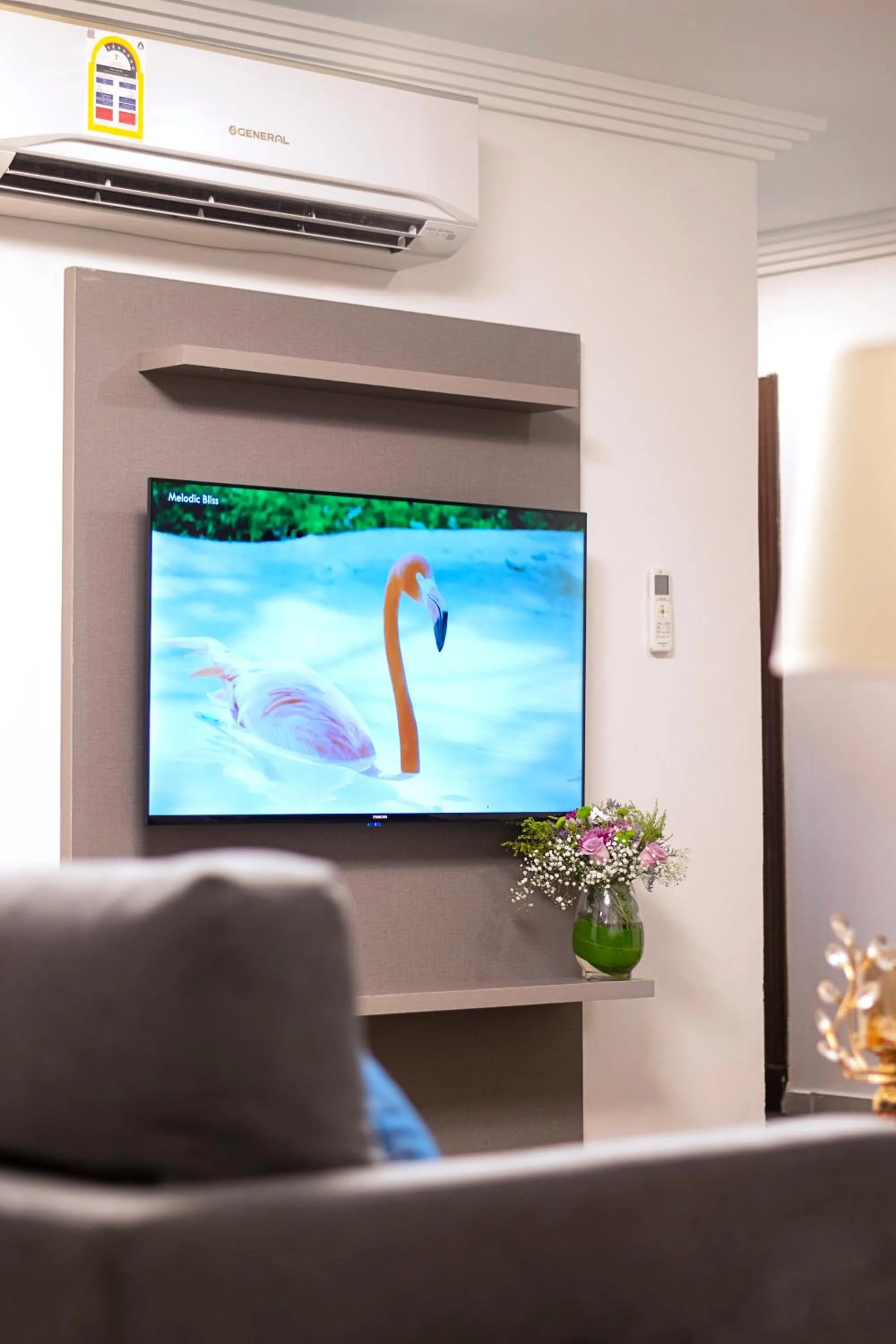 TV and multimedia in Laten Suites Prince Sultan