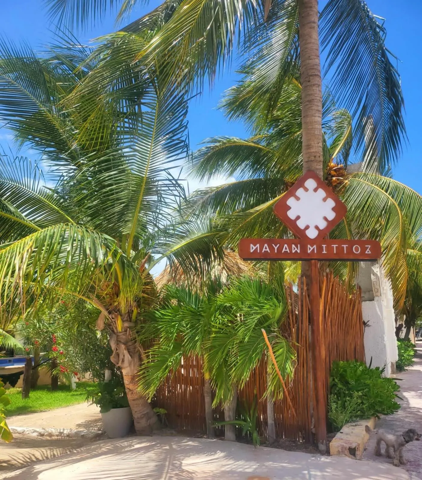 Off site in Mayan Mittoz