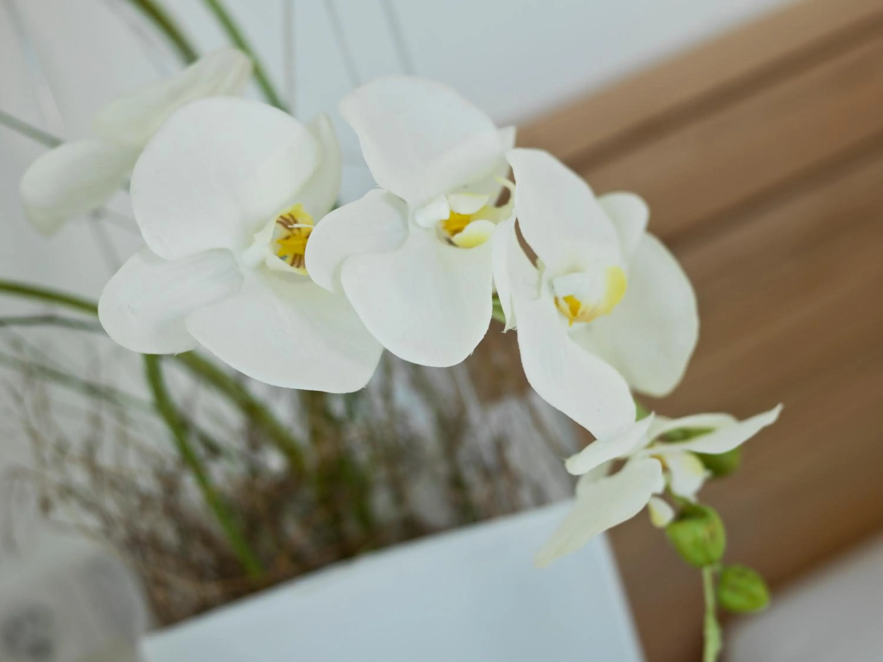 Other in Landhaus Altmuehltal