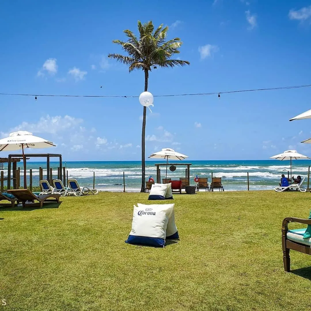 Lounge or bar in Tree Bies Resort