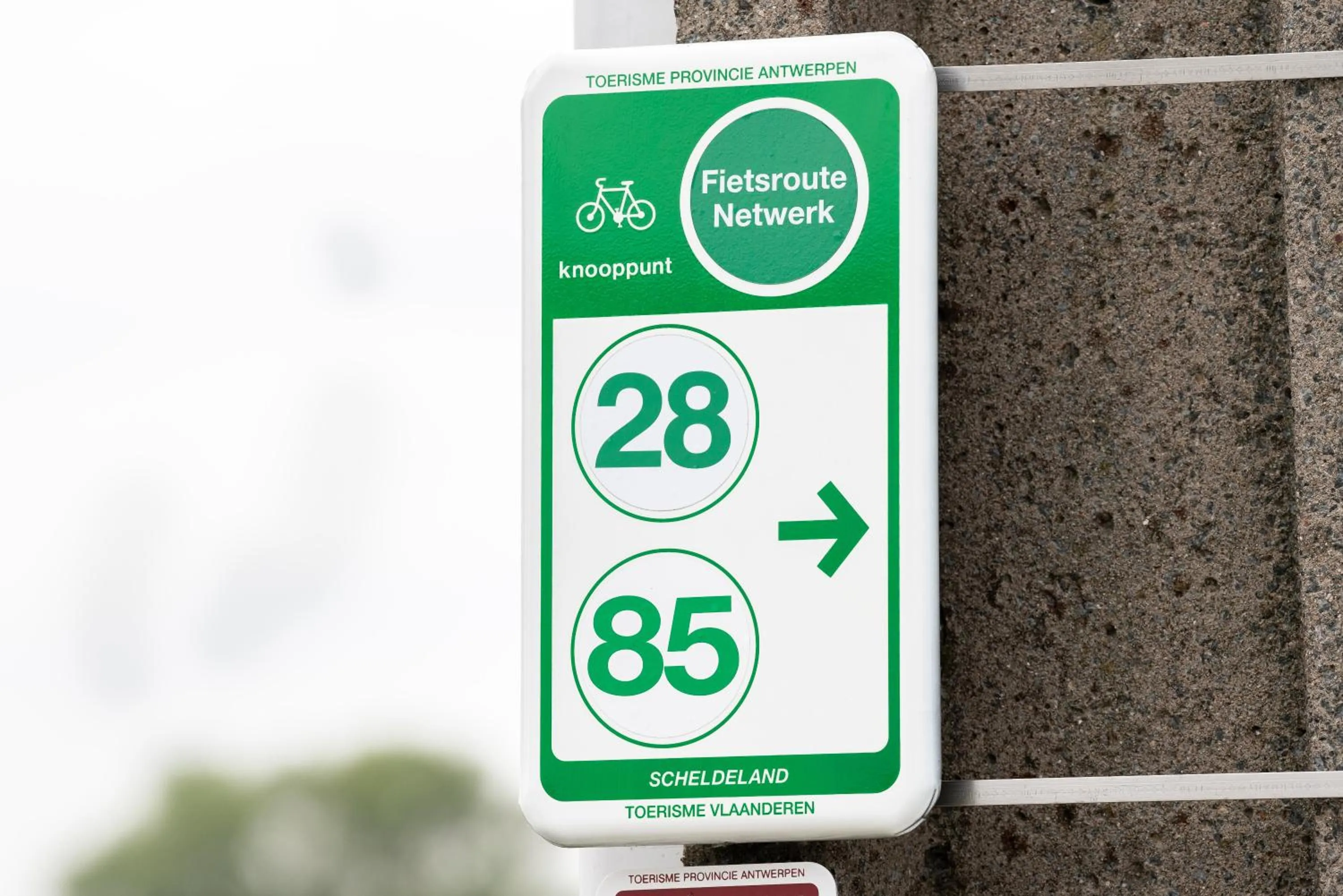 Cycling in Hotel Essenza