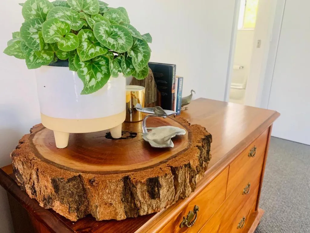 Coffee/tea facilities in Mountain Valley