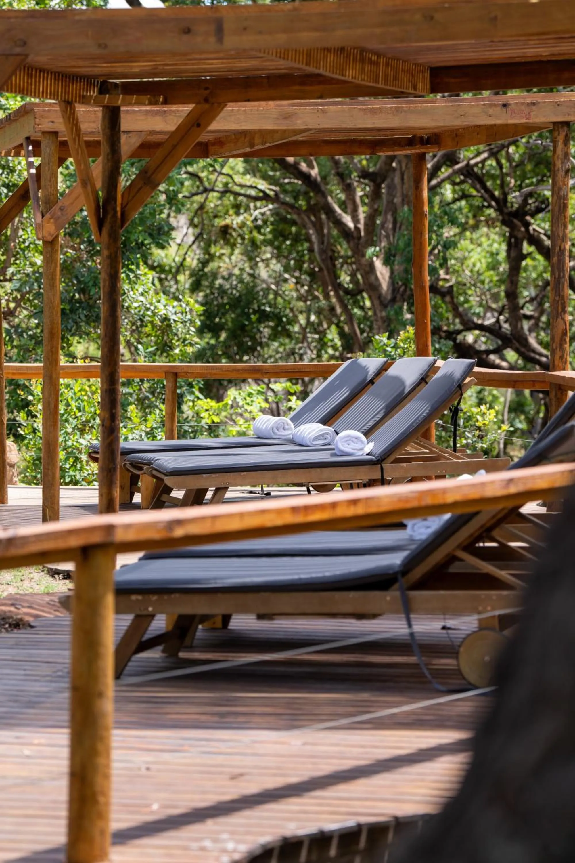 Swimming pool in Sediba Luxury Safari Lodge