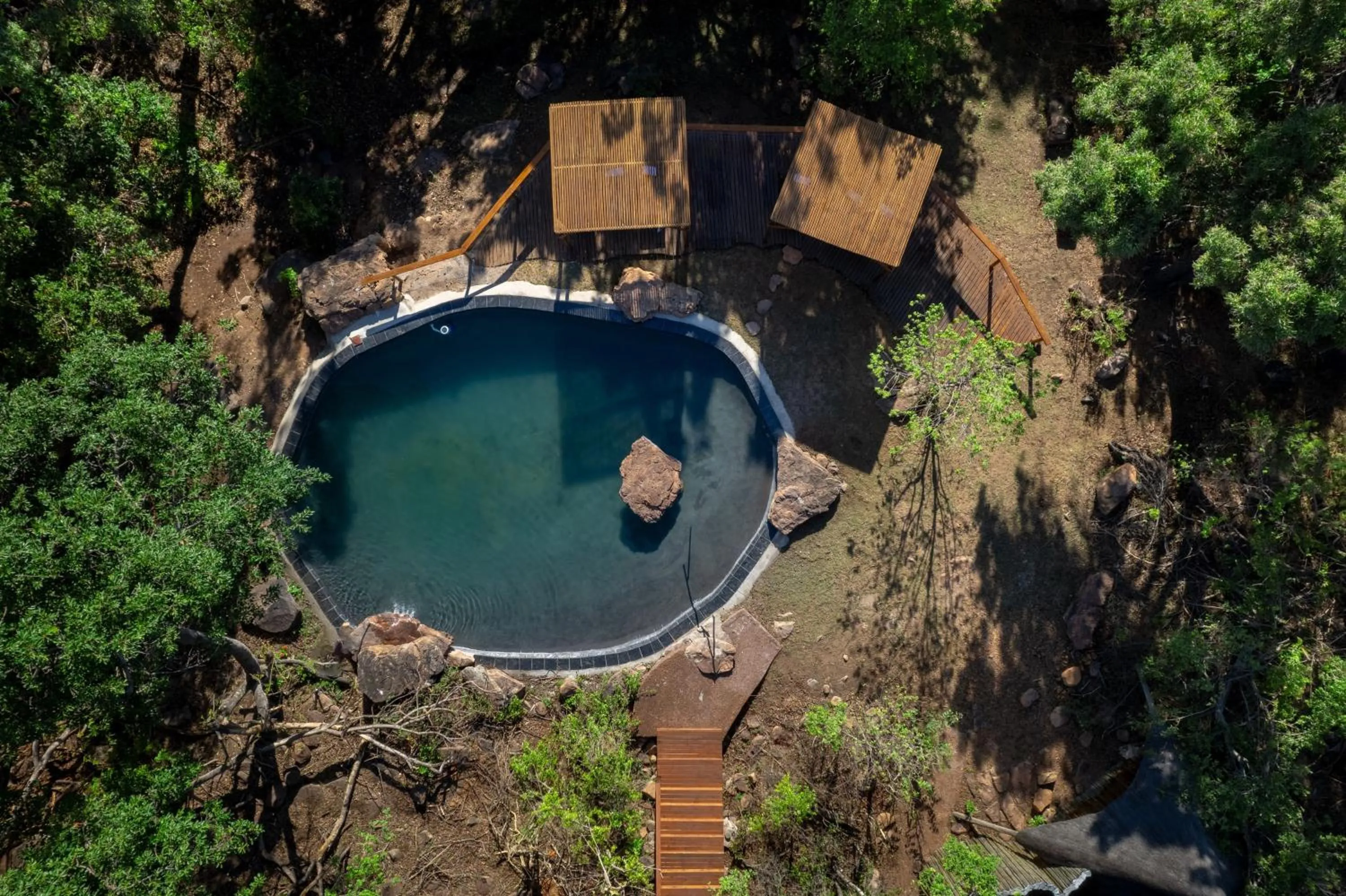 Swimming pool in Sediba Luxury Safari Lodge