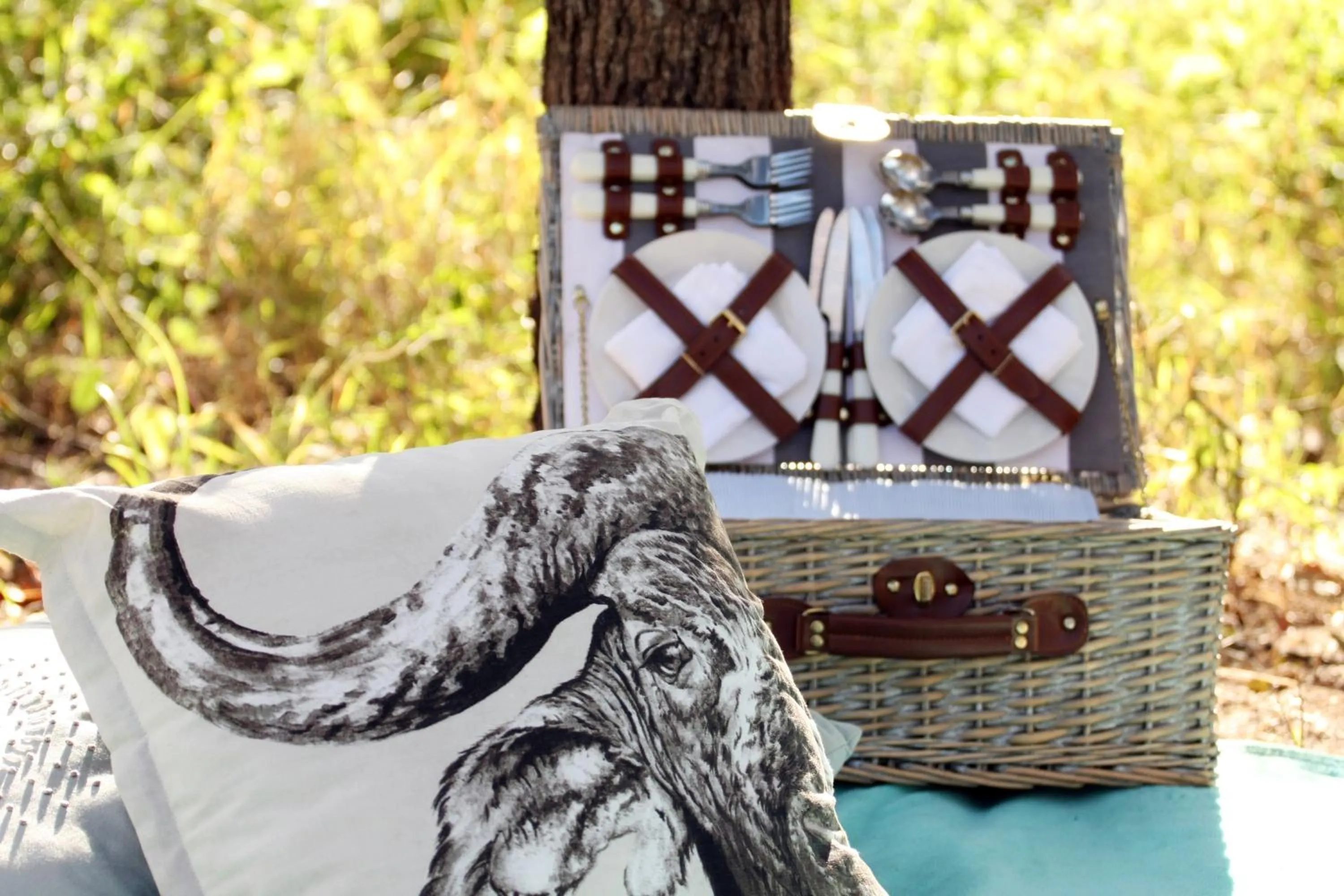 Day in Ngama Tented Safari Lodge