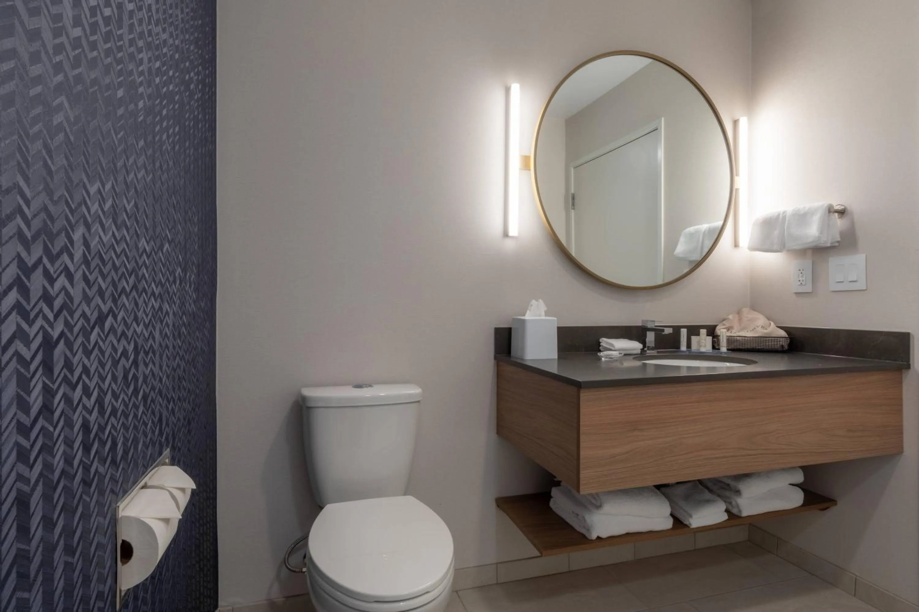 Bathroom in Fairfield by Marriott Inn & Suites Revelstoke