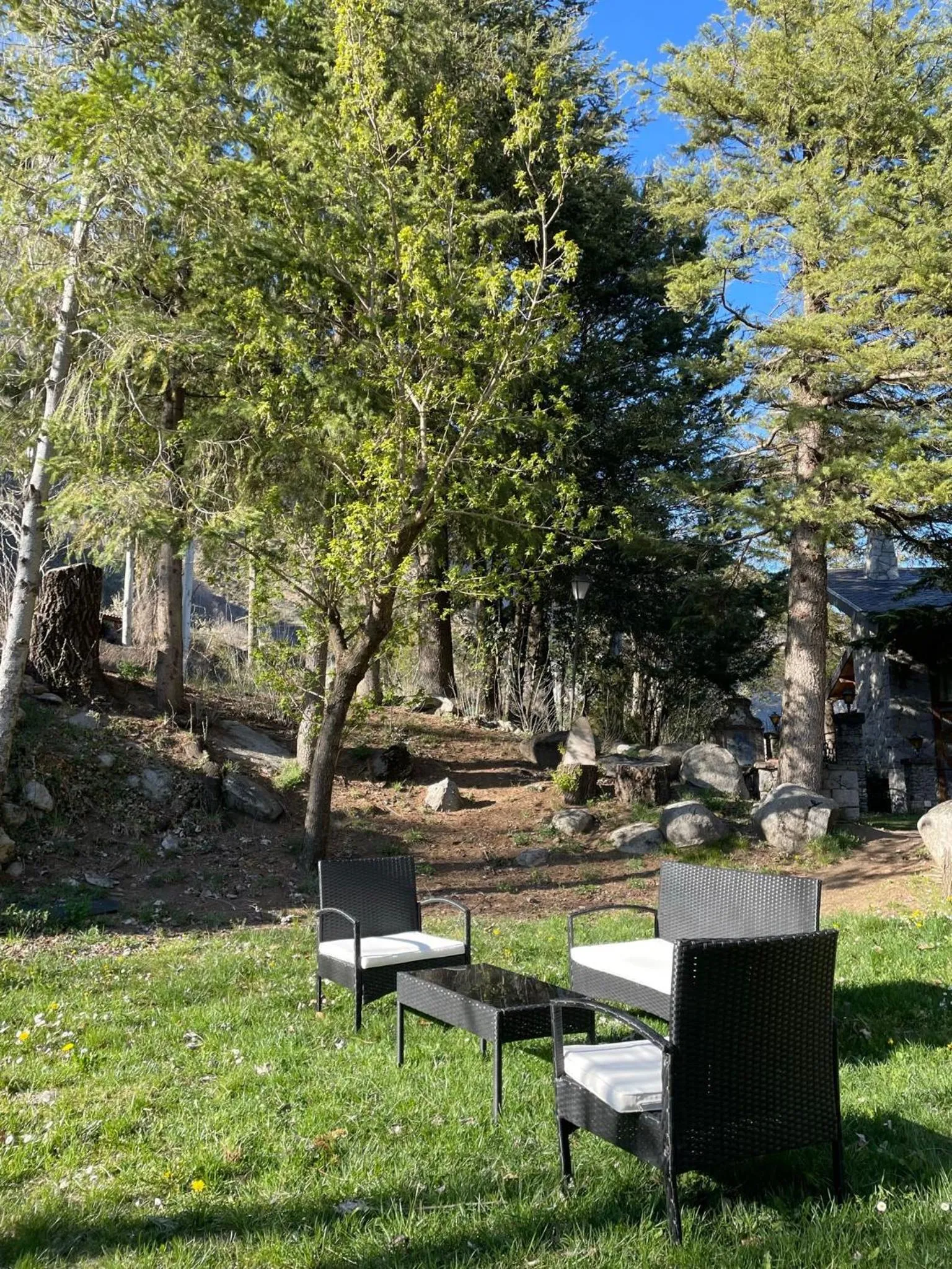 Garden in Hotel Vallibierna