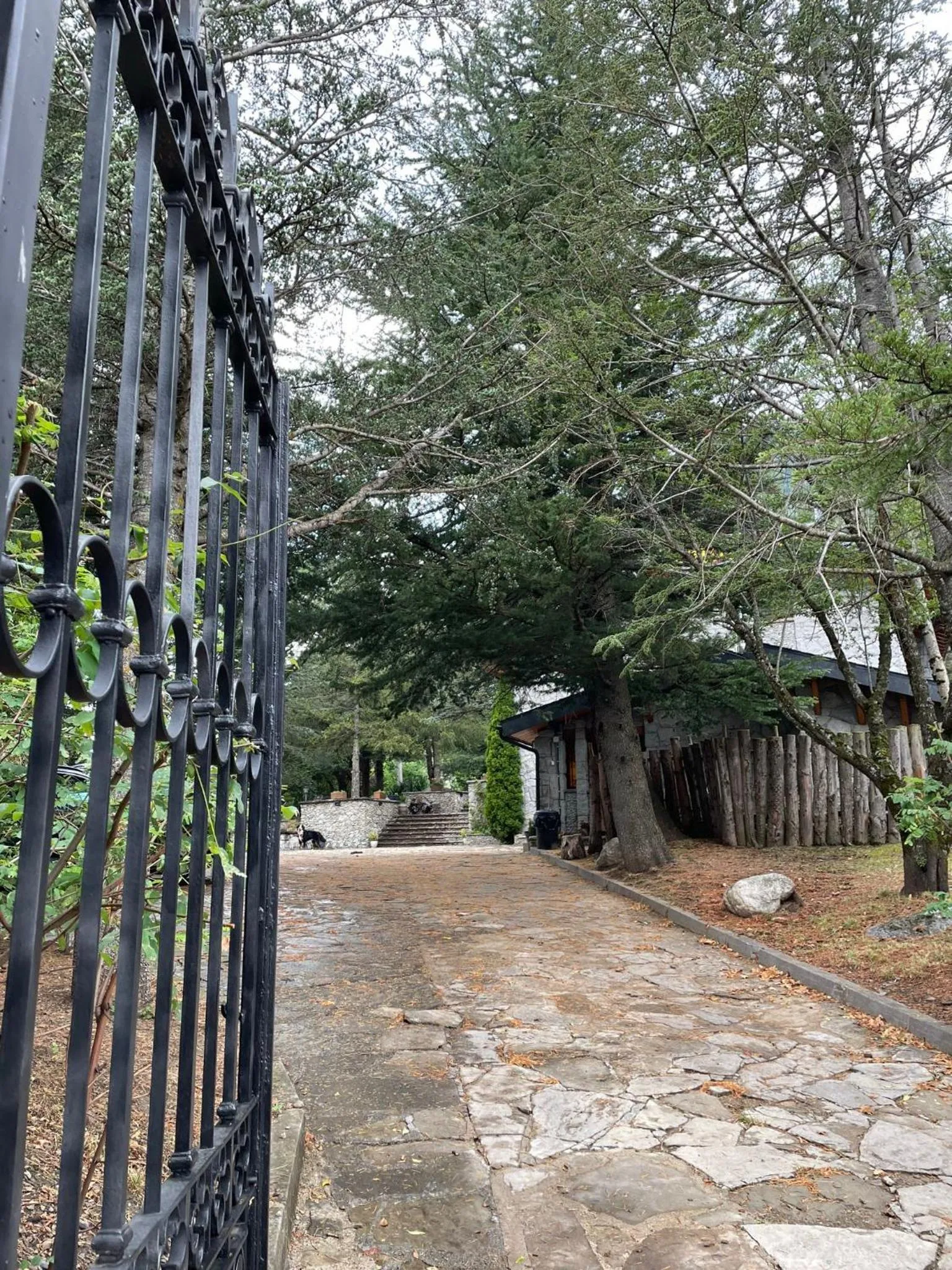 Garden in Hotel Vallibierna