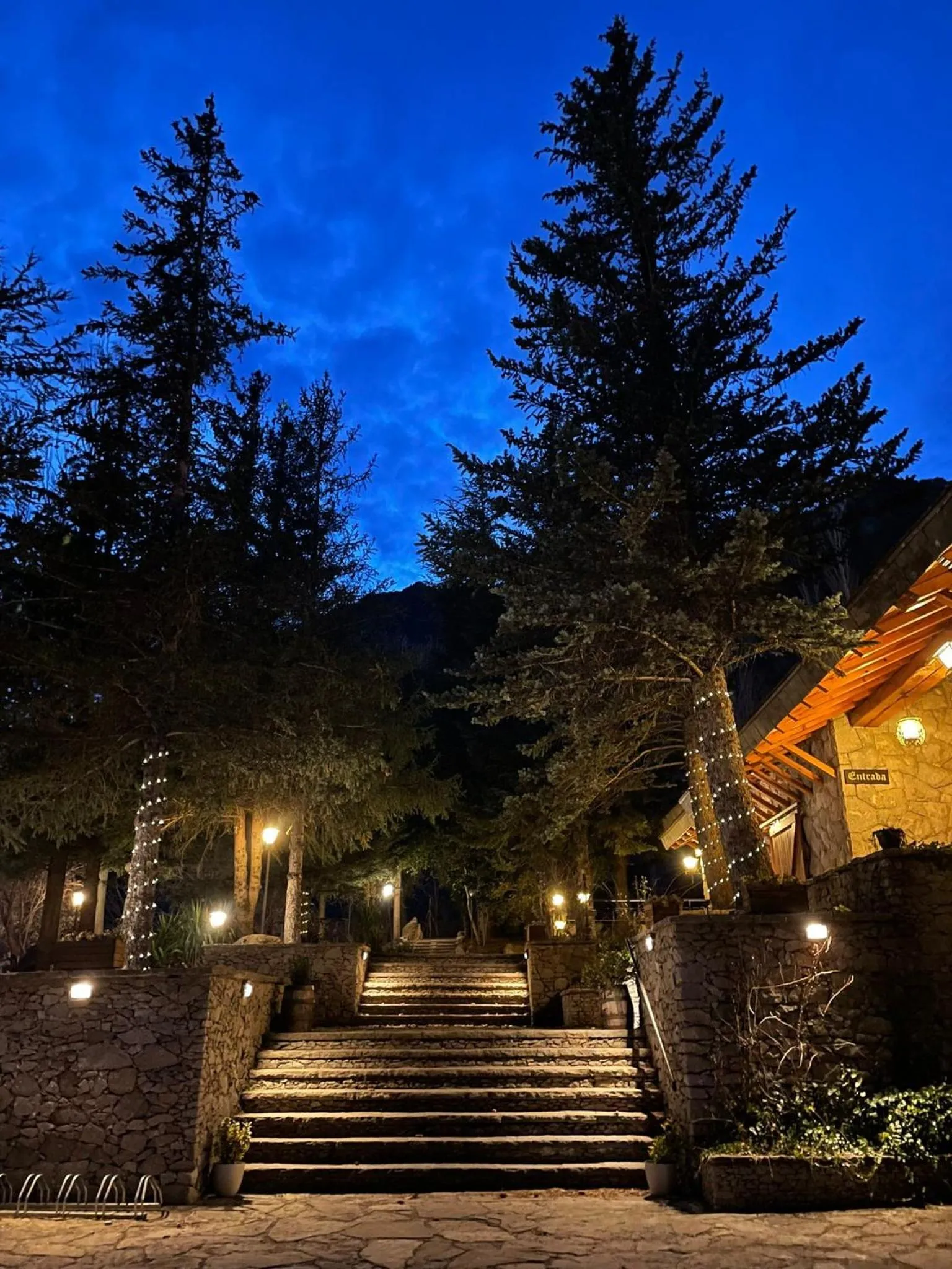 Garden in Hotel Vallibierna