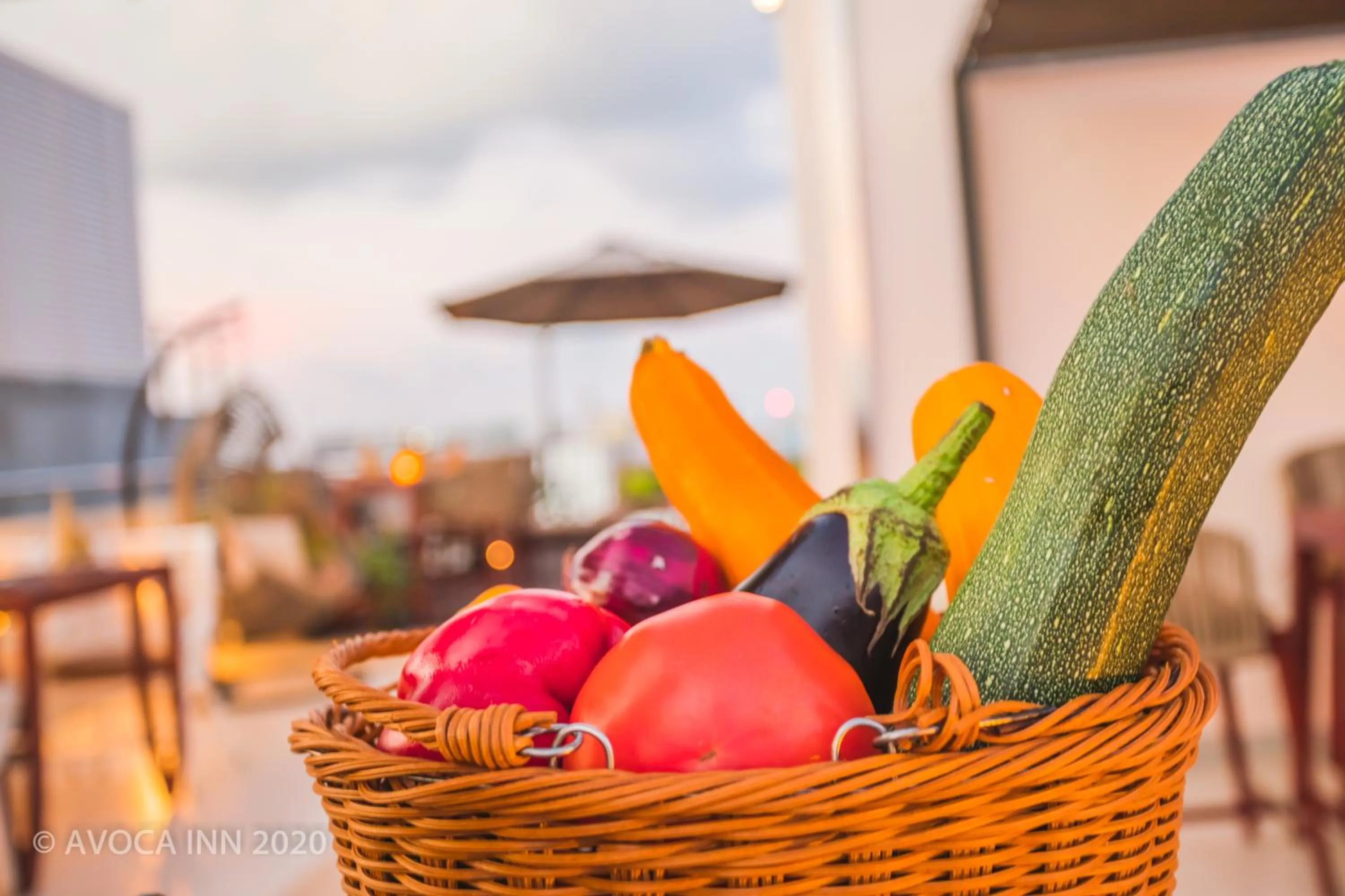 Food and drinks in Avoca Inn