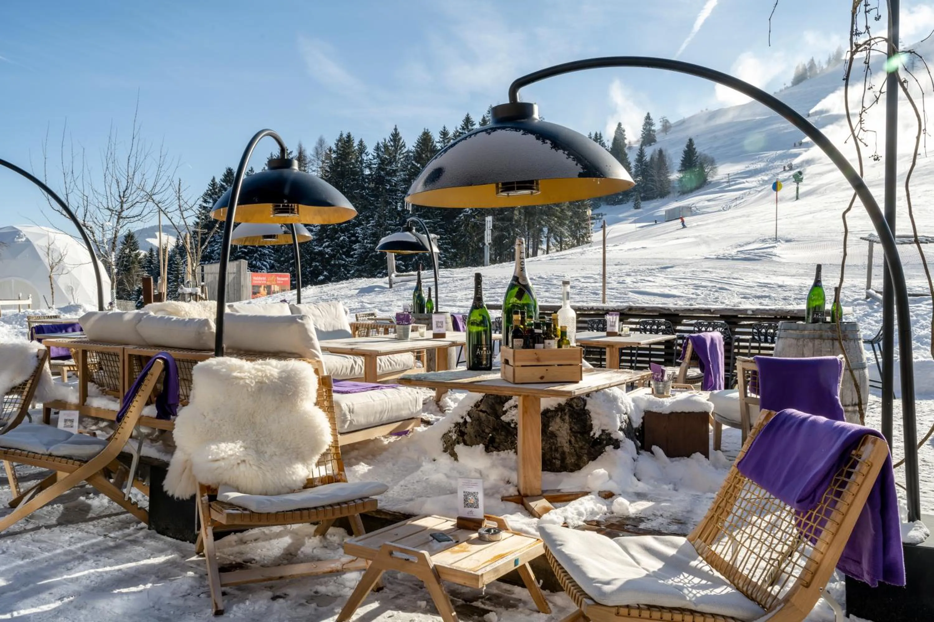Balcony/Terrace in Holzhotel Forsthofalm