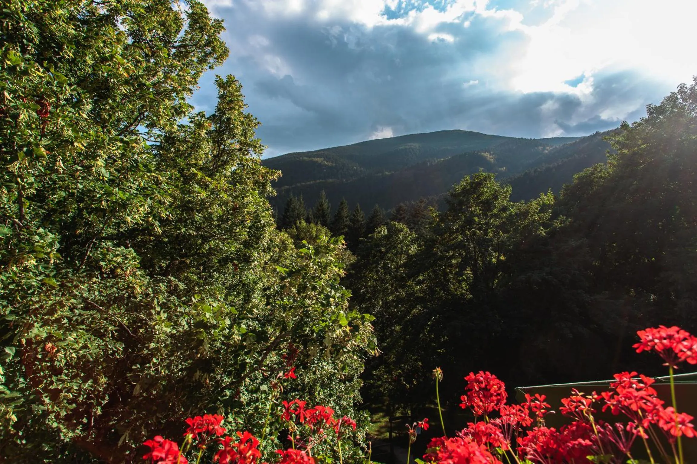 Day in Granduca Mountain Wellness Apartments Campigna