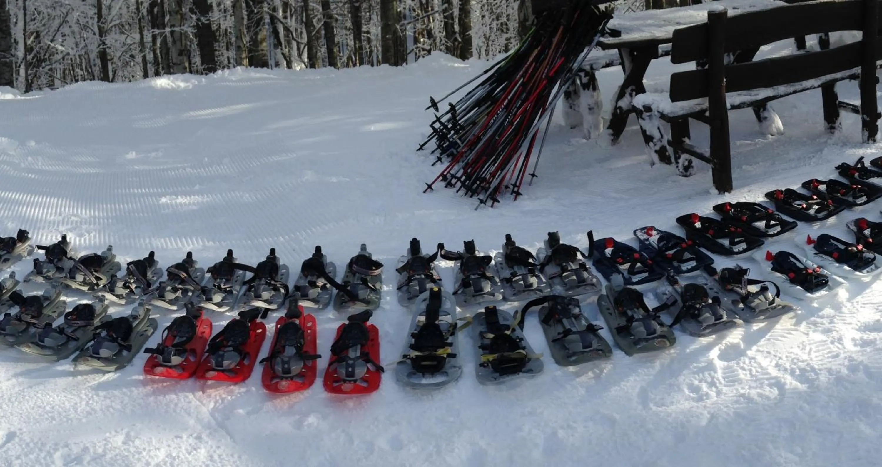 Nearby landmark in Granduca Mountain Wellness Apartments Campigna