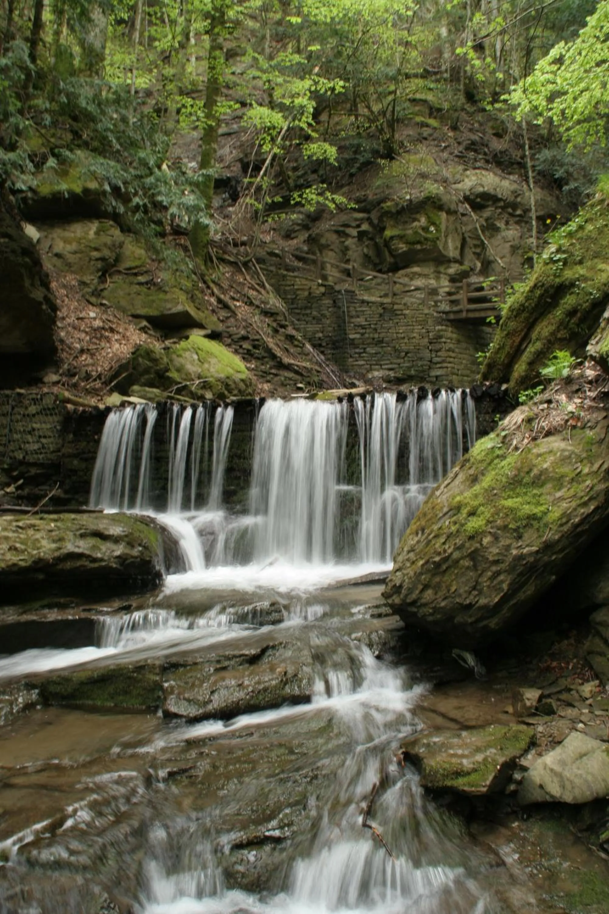 Nearby landmark in Granduca Mountain Wellness Apartments Campigna
