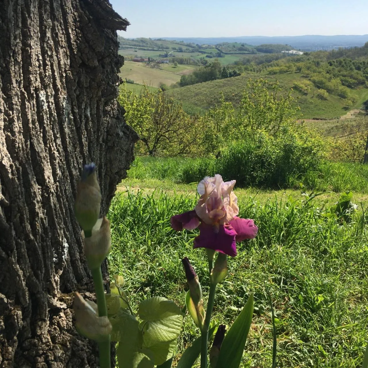 Property building in Aux Coteaux d'Aussac