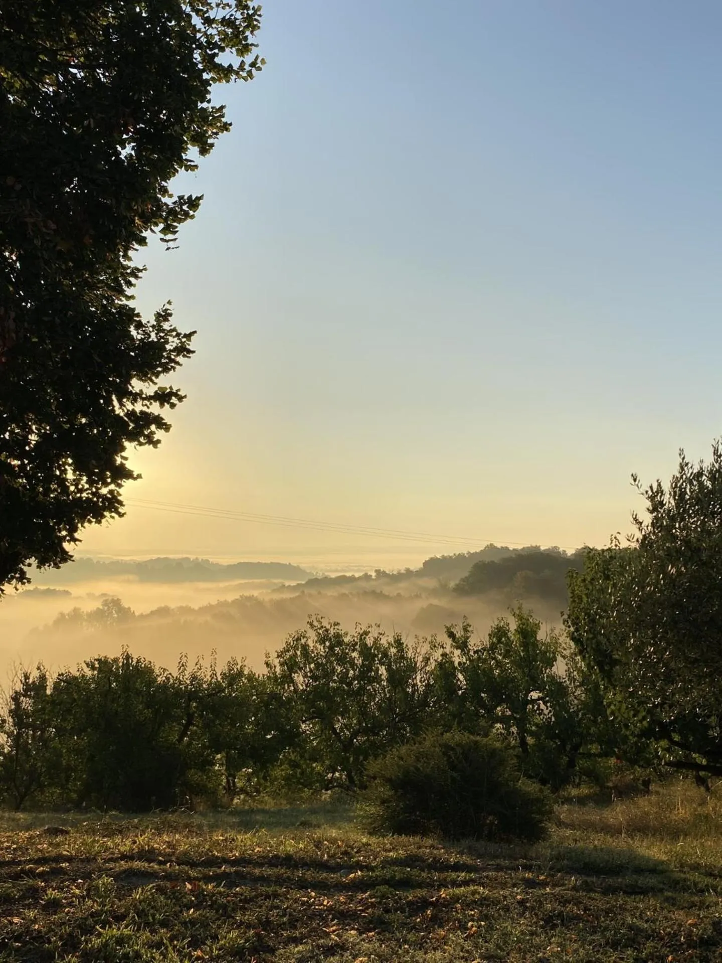 Neighbourhood in Aux Coteaux d'Aussac