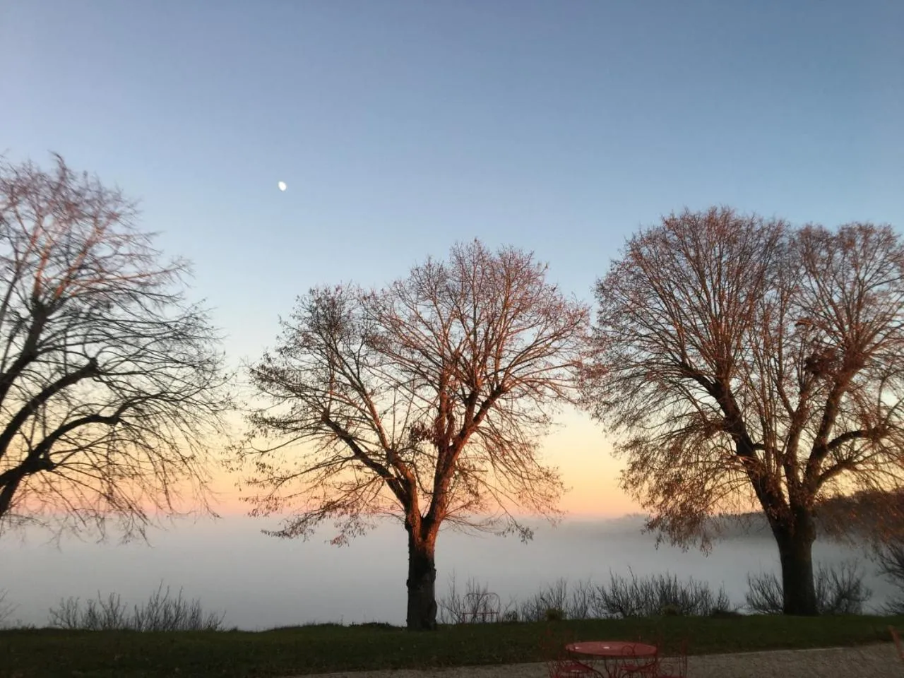 Garden in Aux Coteaux d'Aussac