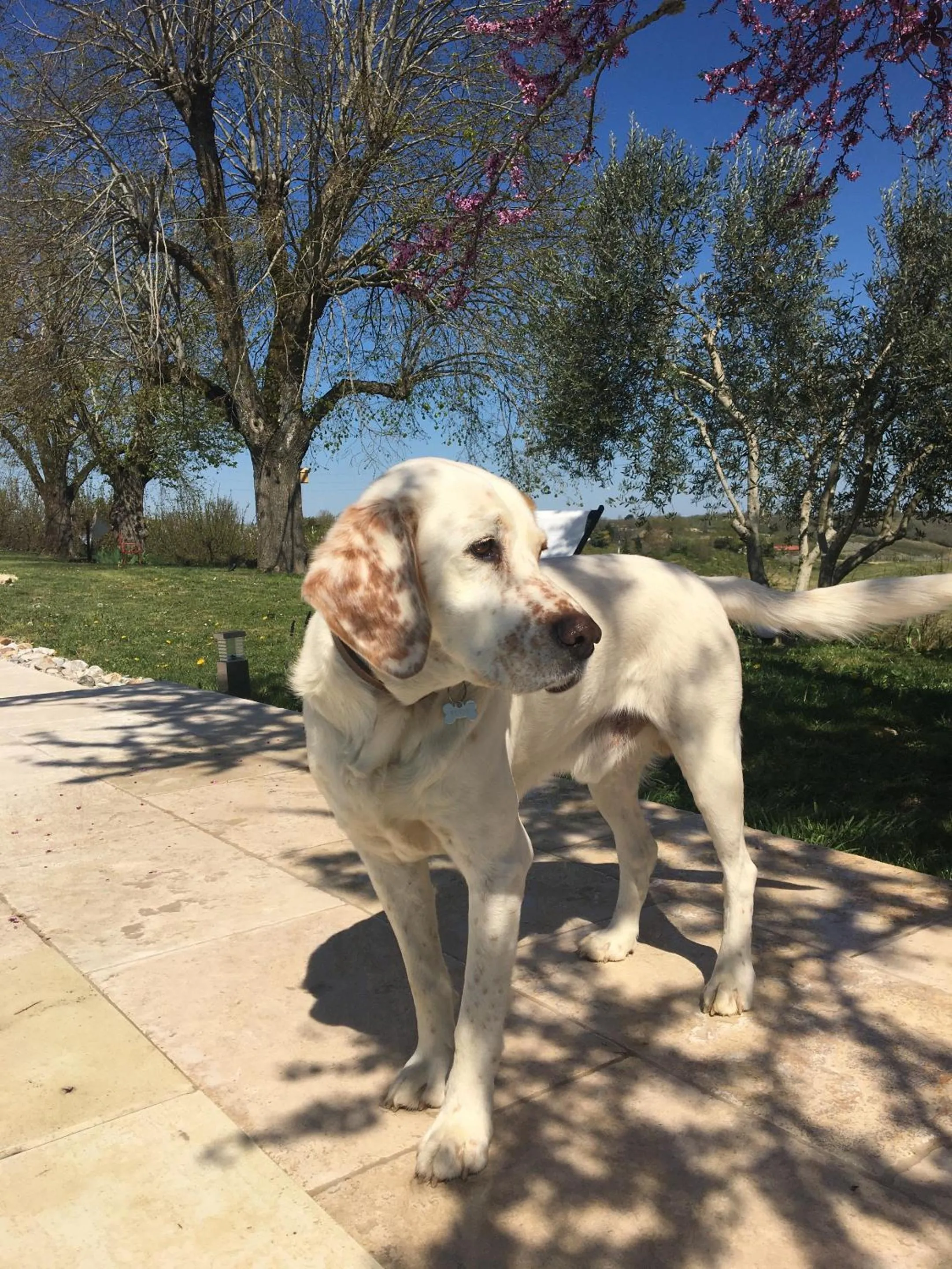 Other in Aux Coteaux d'Aussac