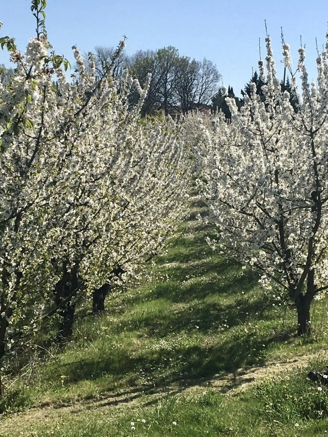 Property building in Aux Coteaux d'Aussac