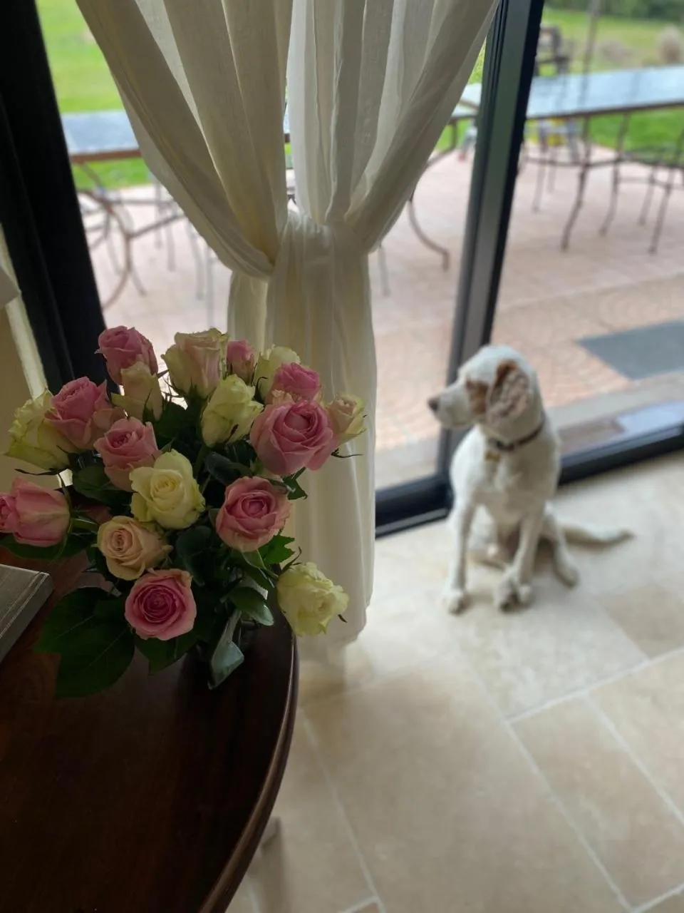 Other in Aux Coteaux d'Aussac