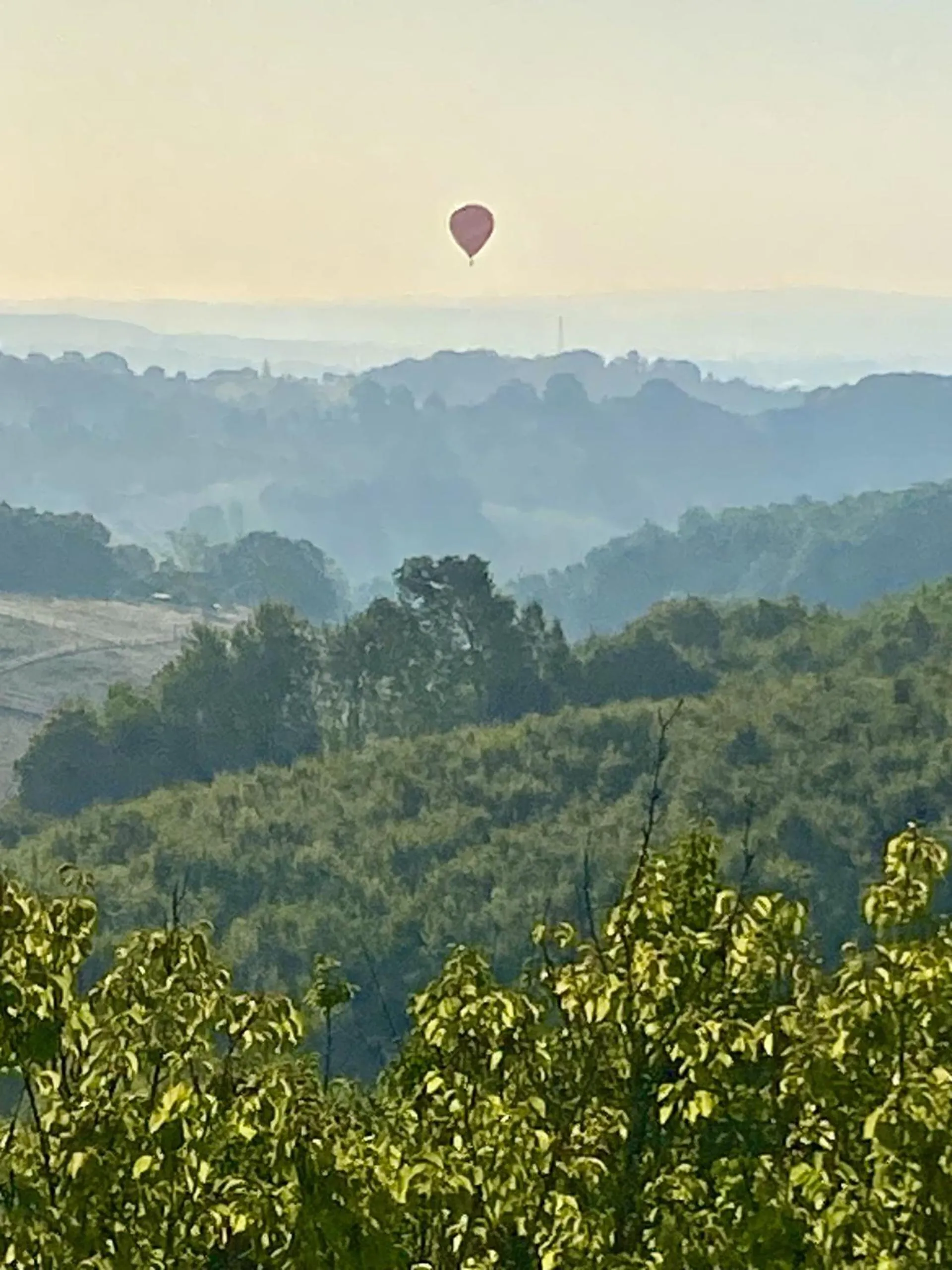 Activities in Aux Coteaux d'Aussac