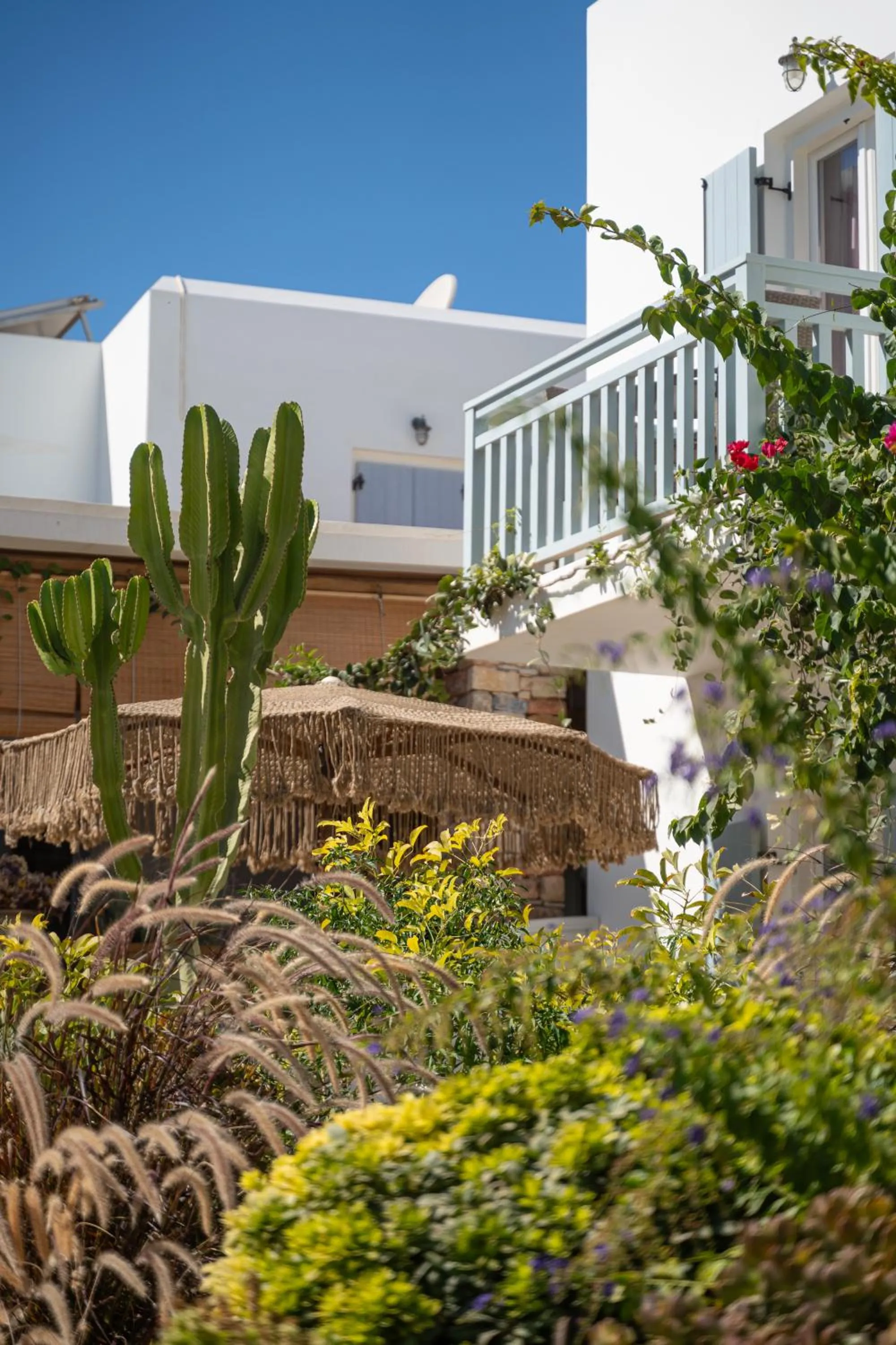 Garden in Aeolos Hotel