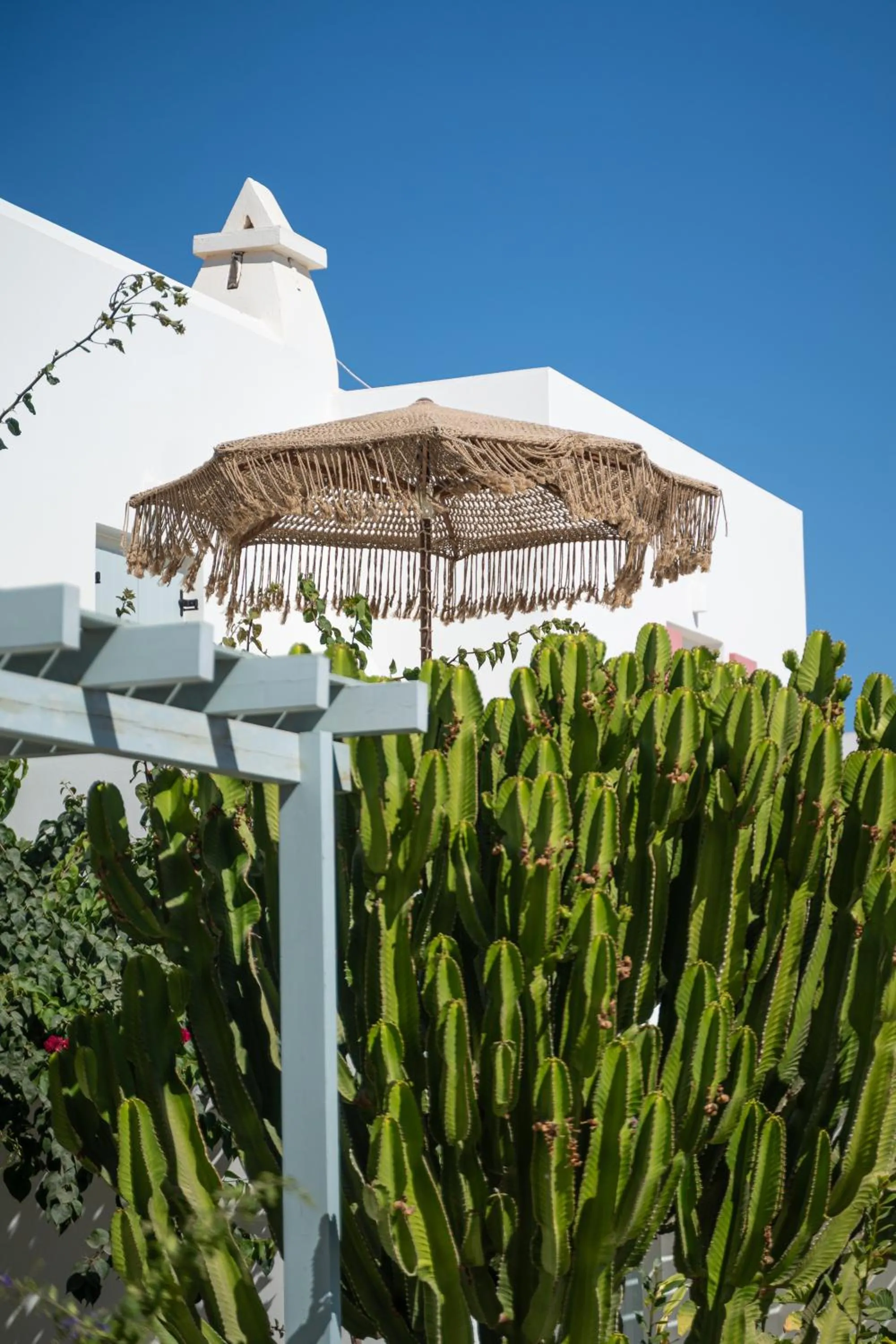 Garden in Aeolos Hotel