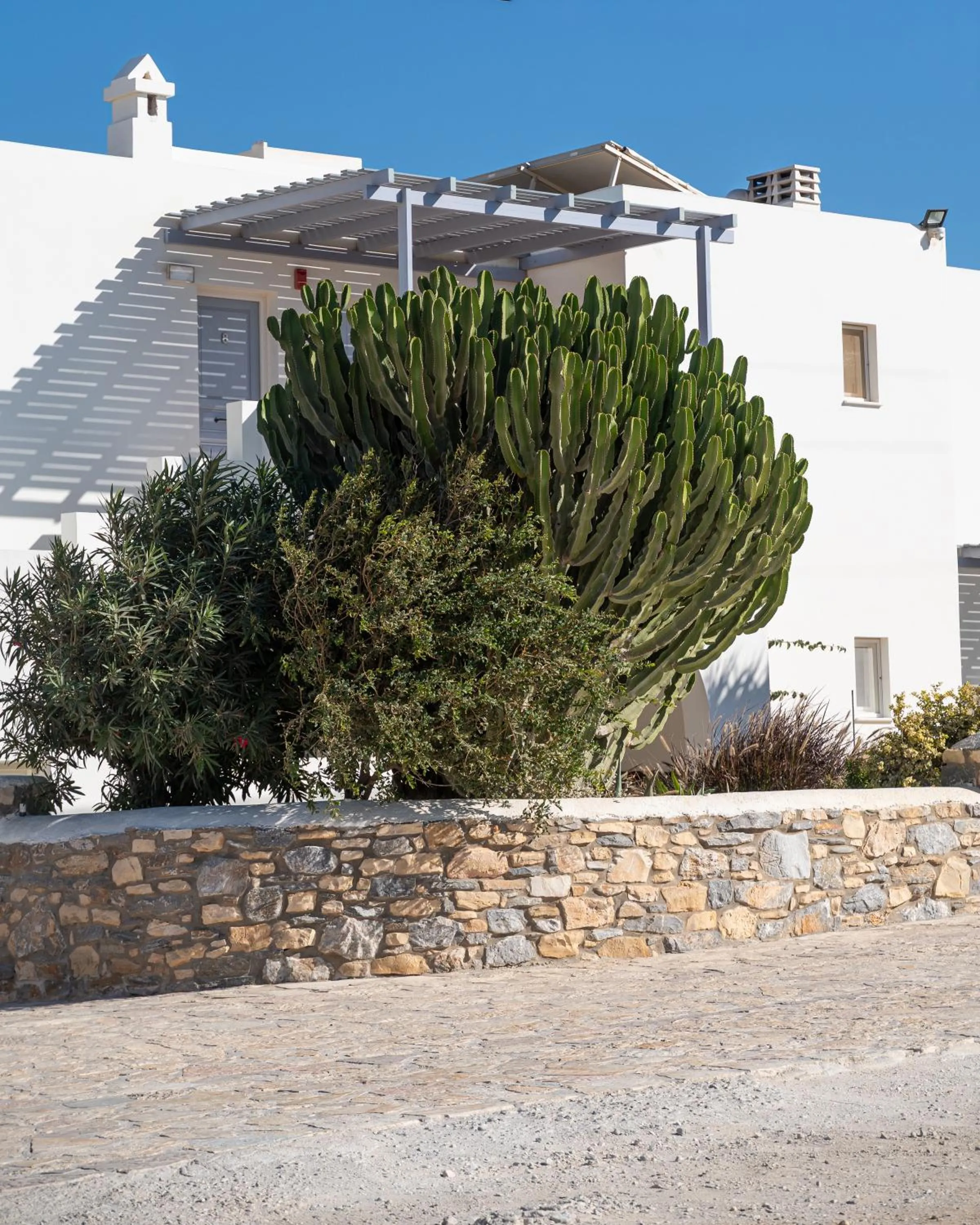 Garden in Aeolos Hotel