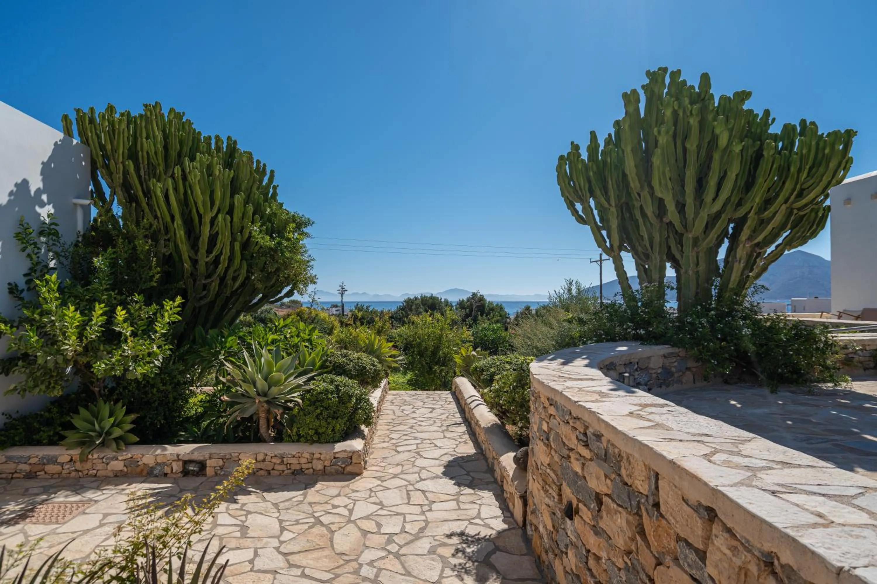Garden in Aeolos Hotel