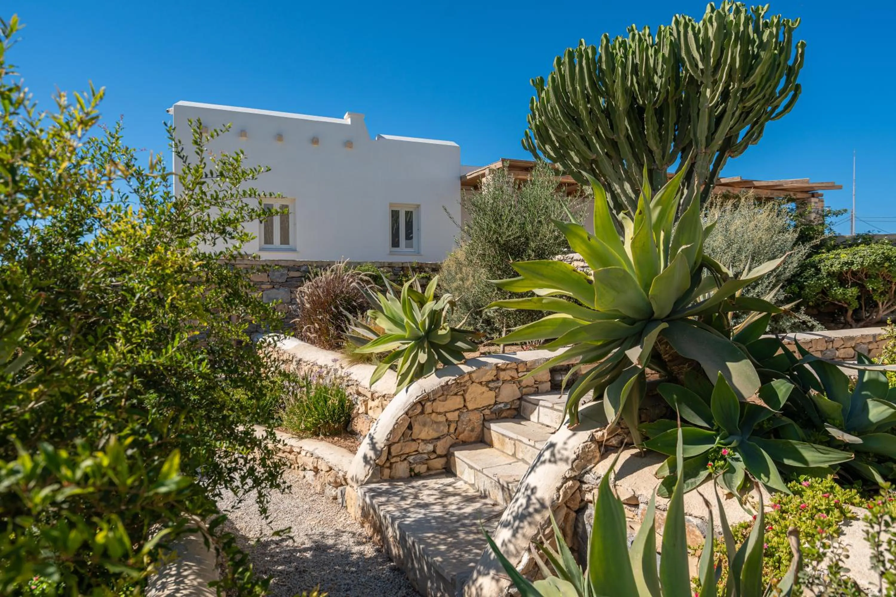 Garden in Aeolos Hotel