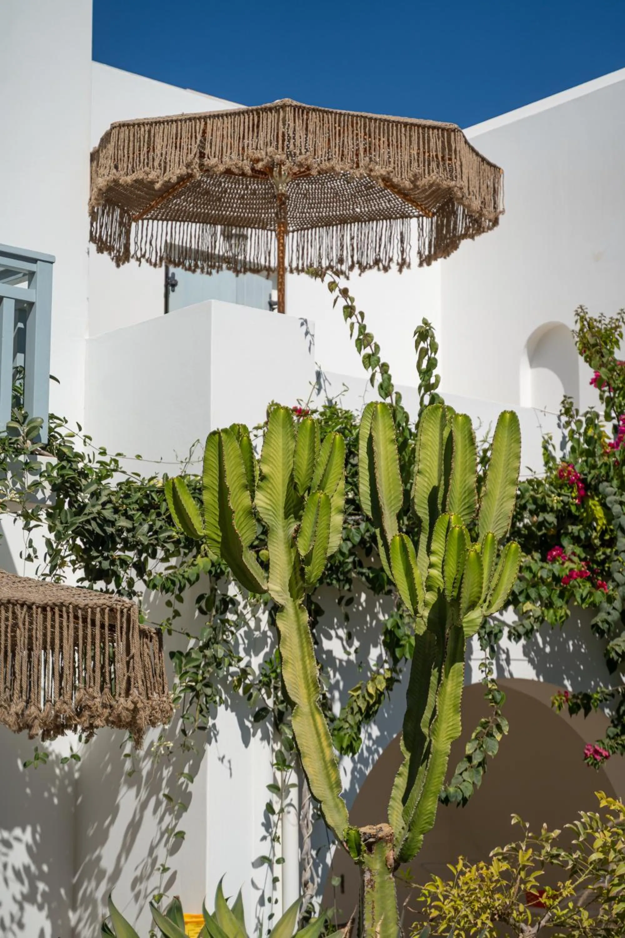 Garden in Aeolos Hotel