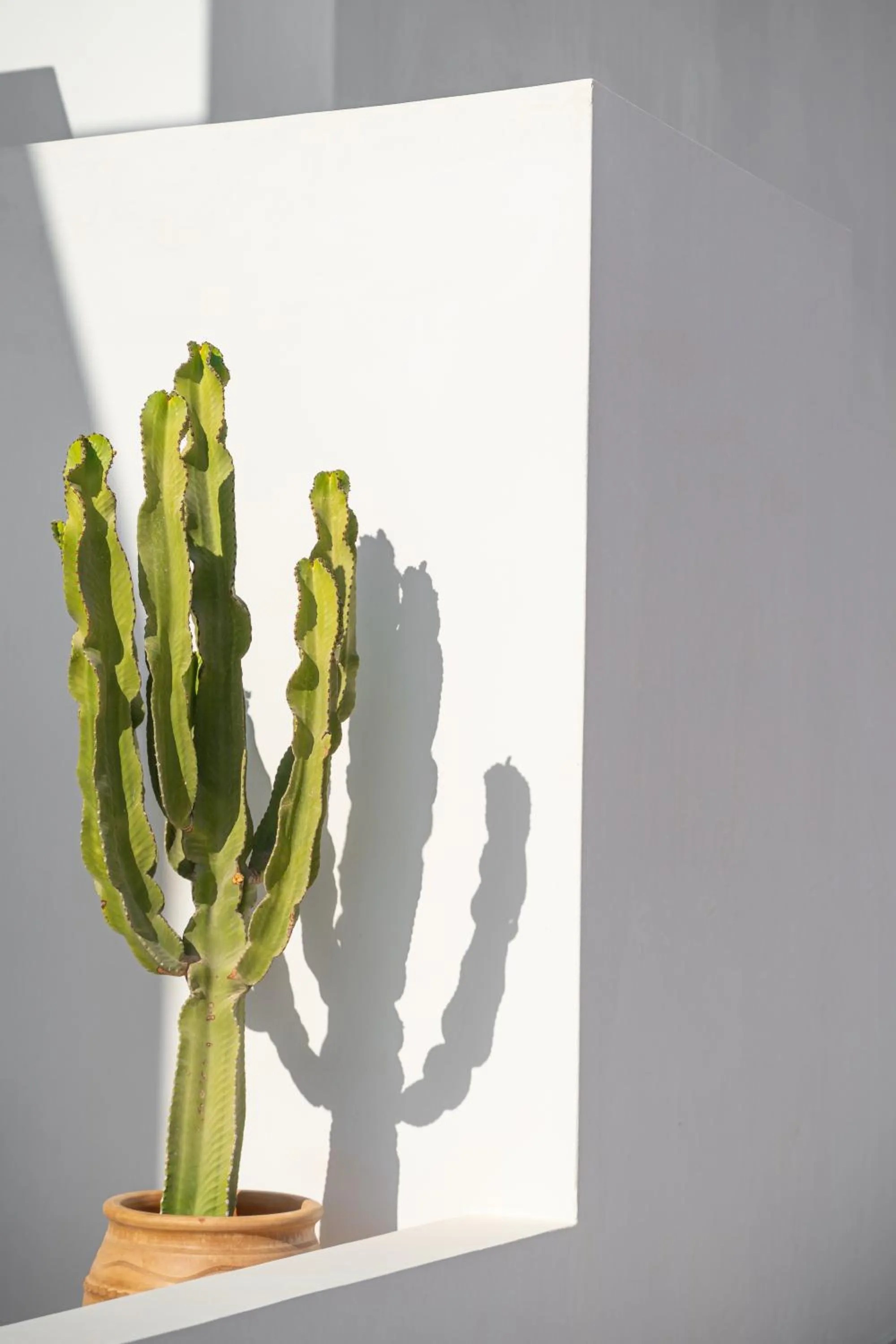 Property building in Aeolos Hotel