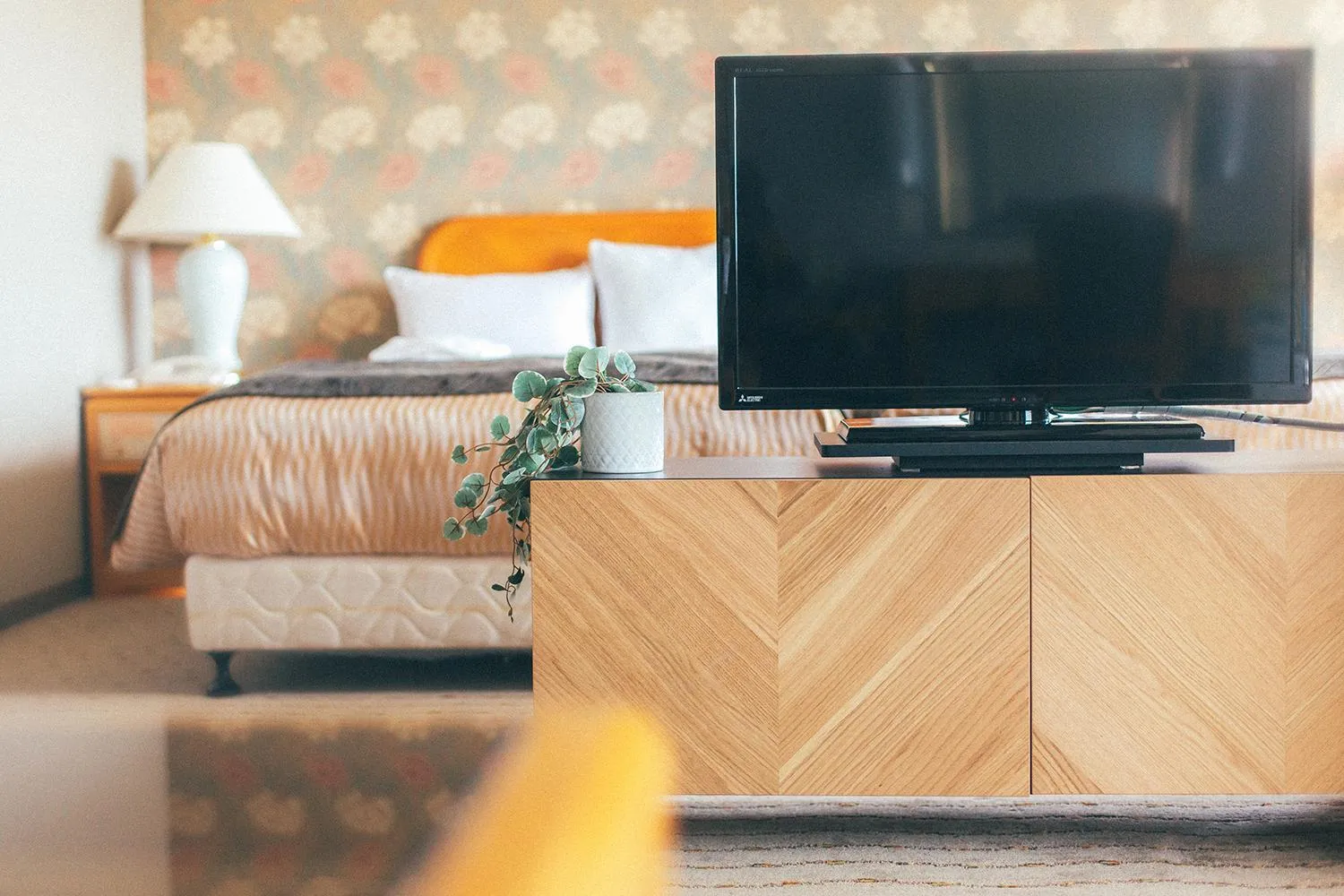 TV and multimedia in Kakegawa Grand Hotel