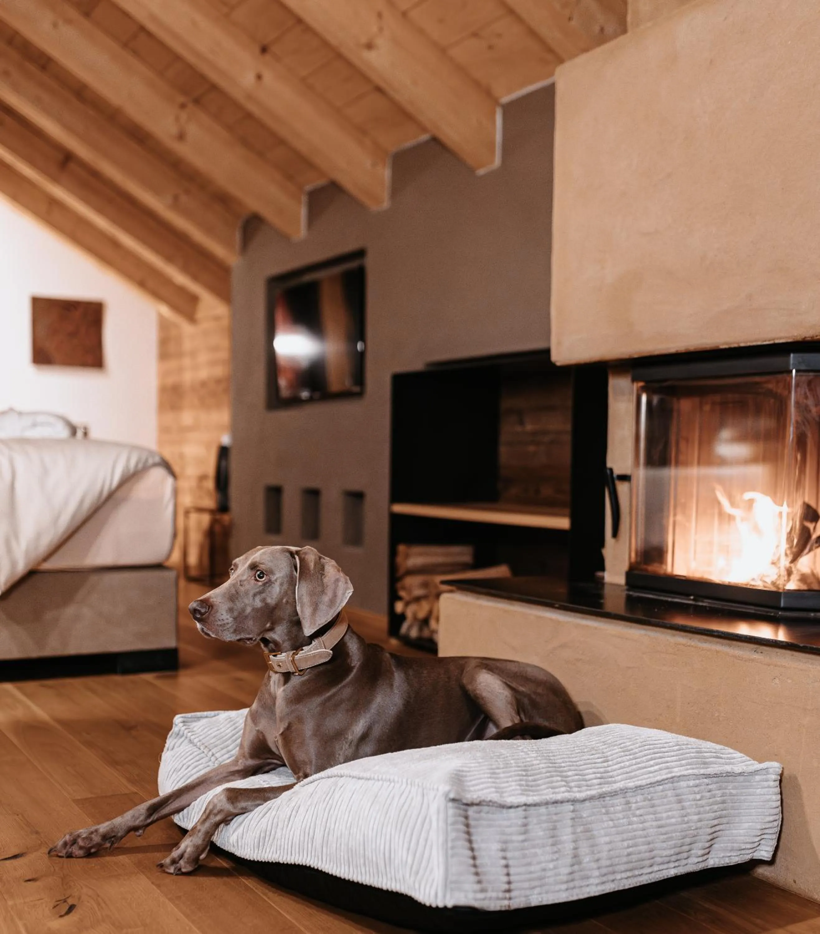 Pets in Hotel Der Löwe LEBE FREI