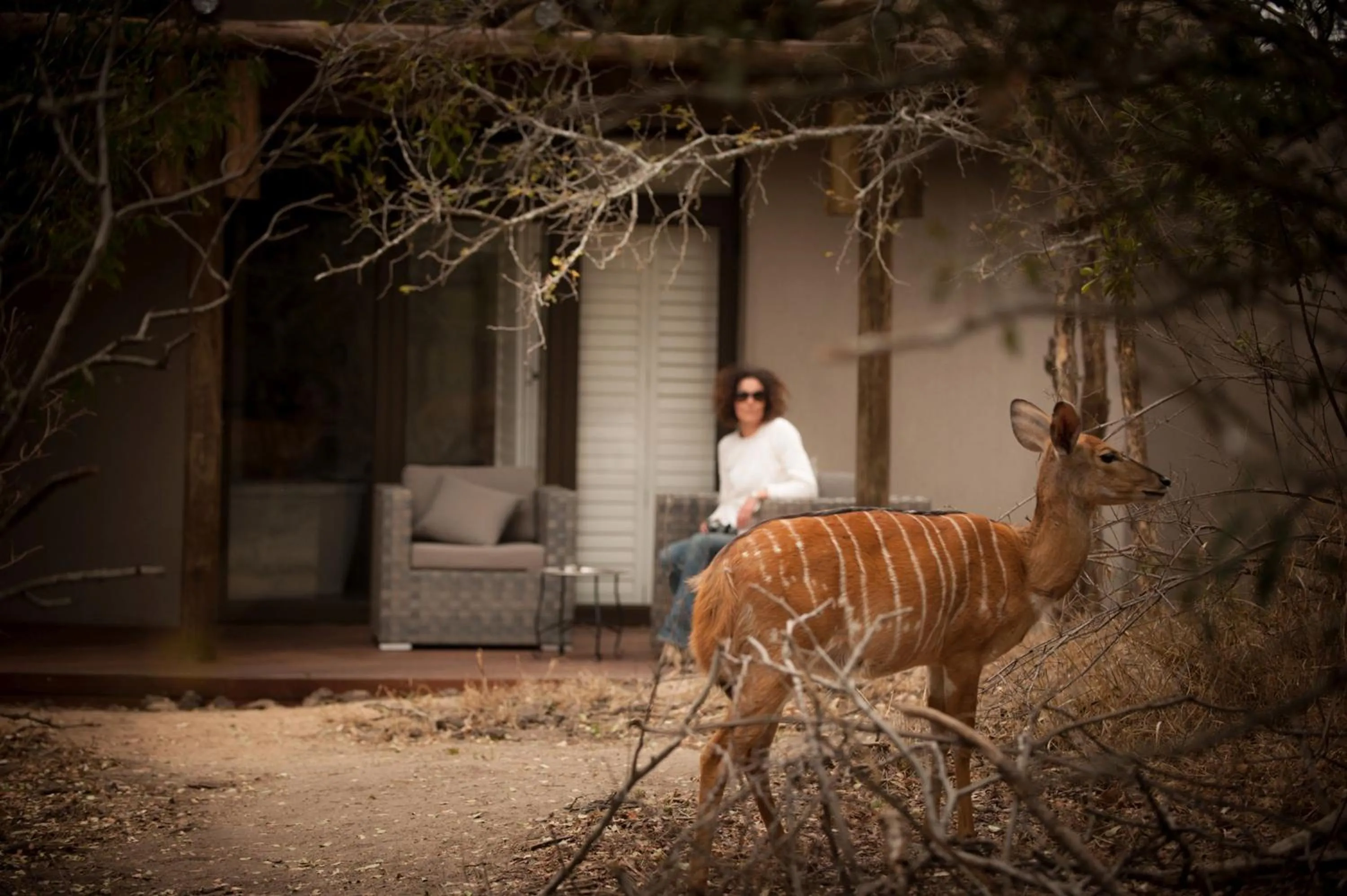View (from property/room) in Moditlo River Lodge