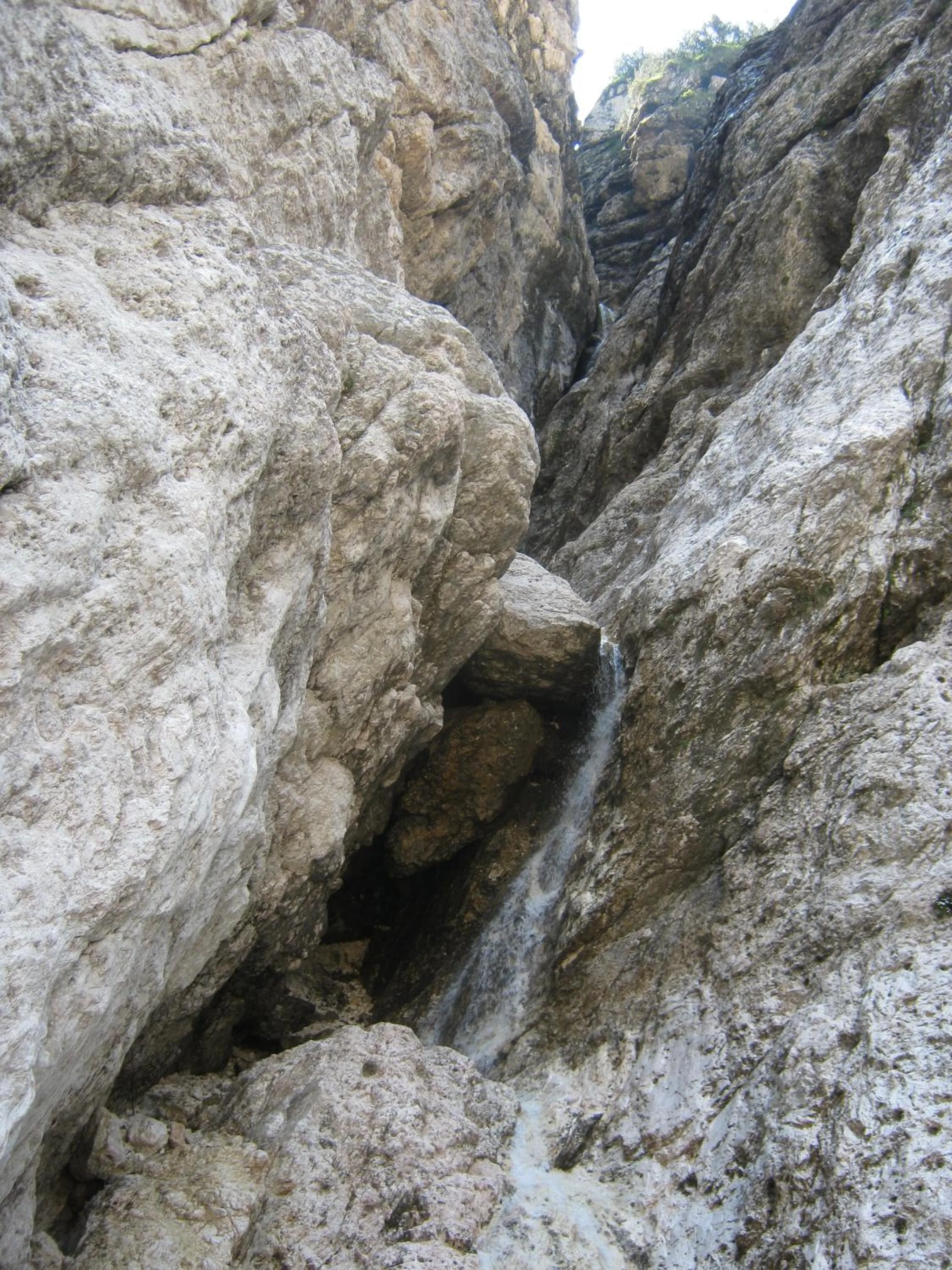 Area and facilities in Hotel Chalet Giasenei